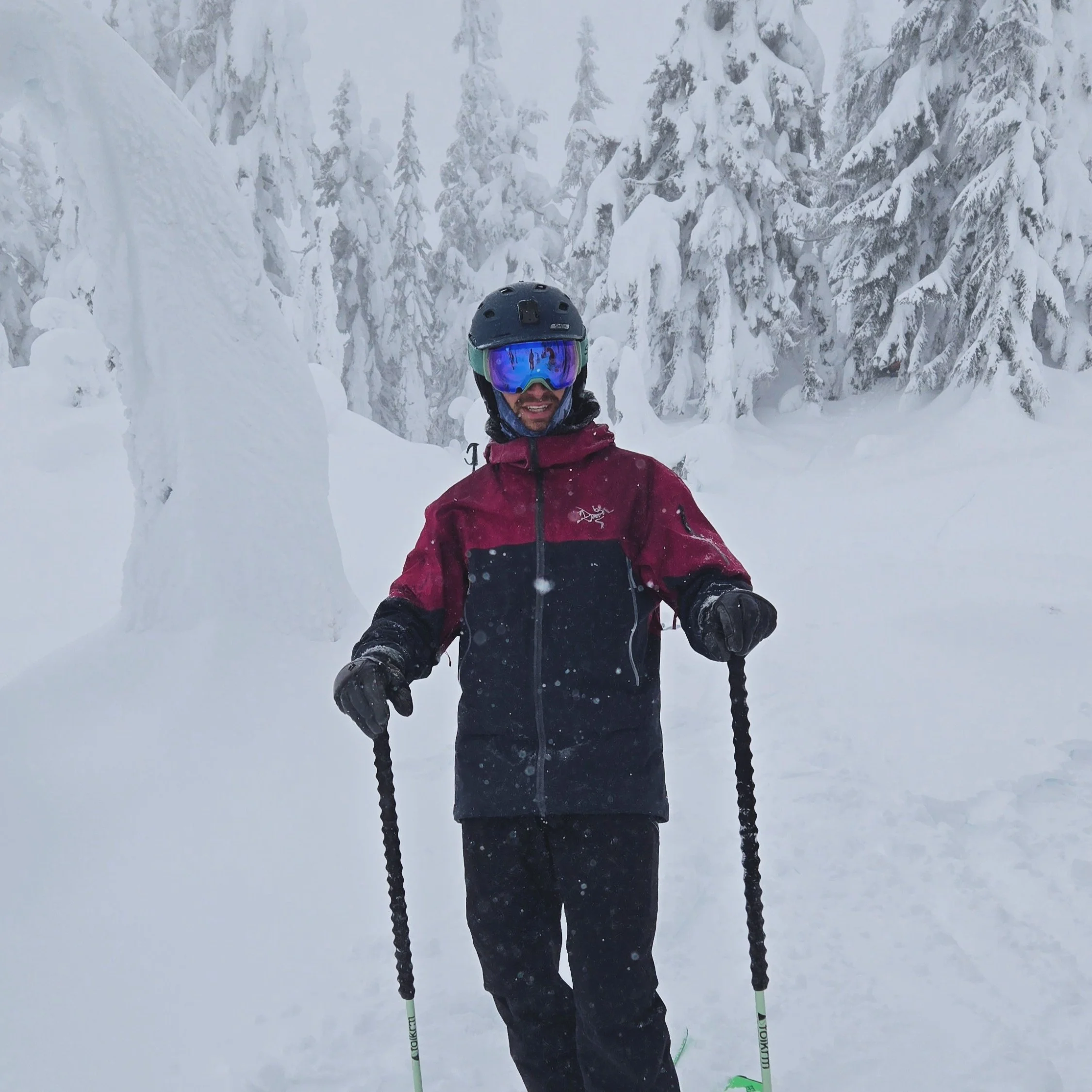 Male backcountry skier with snow covered trees