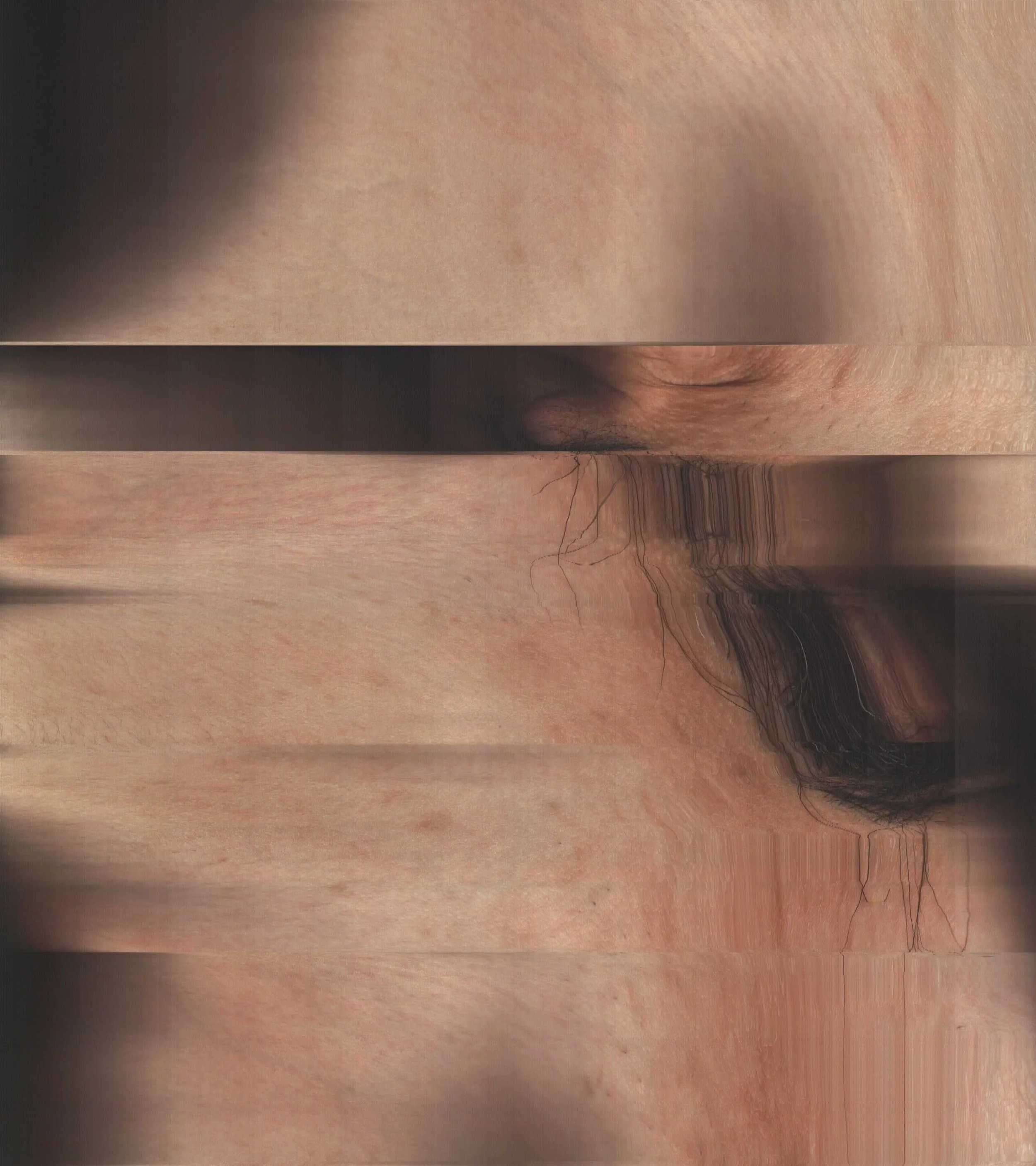 IMAG0041.JPG