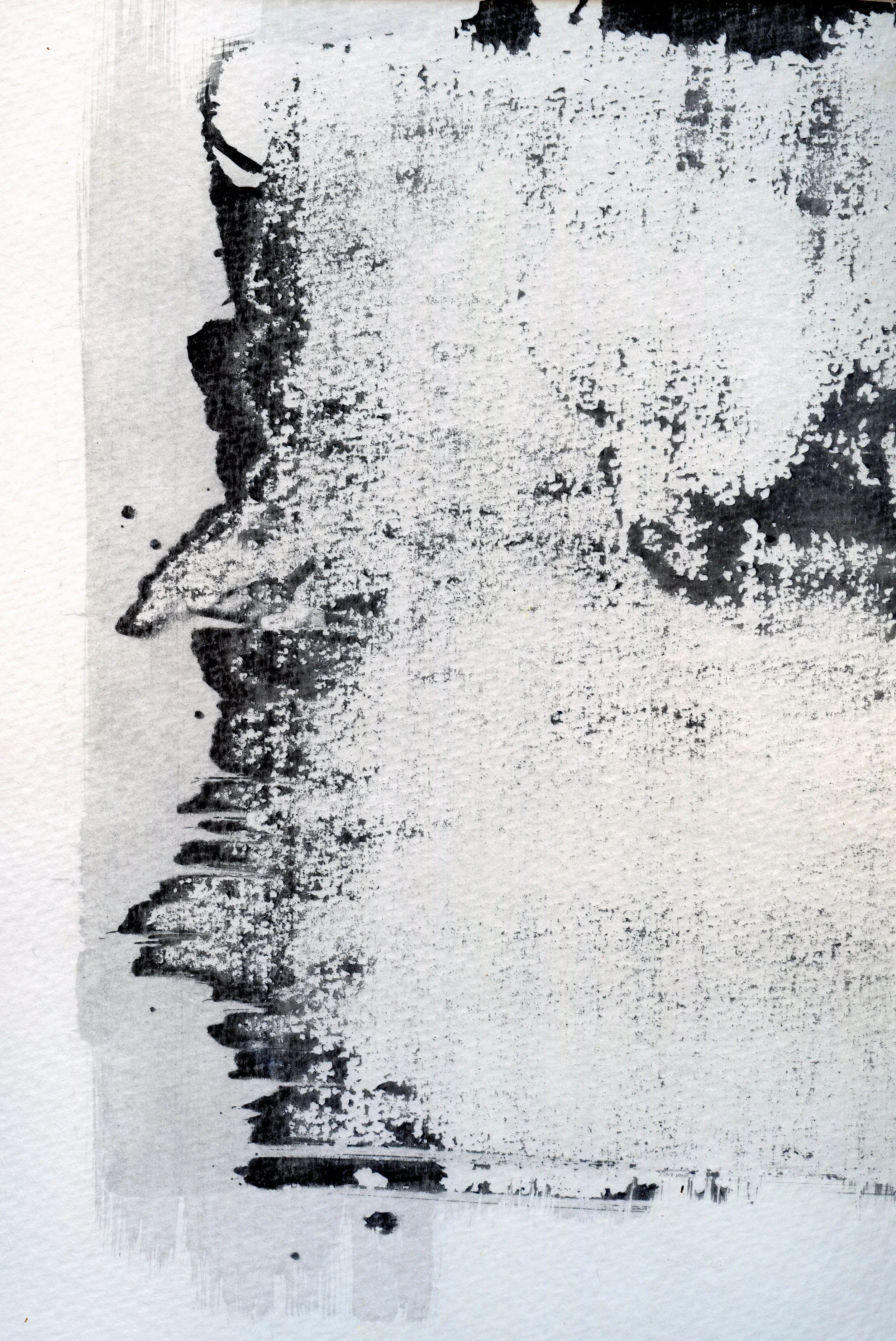 Emulsion Lift