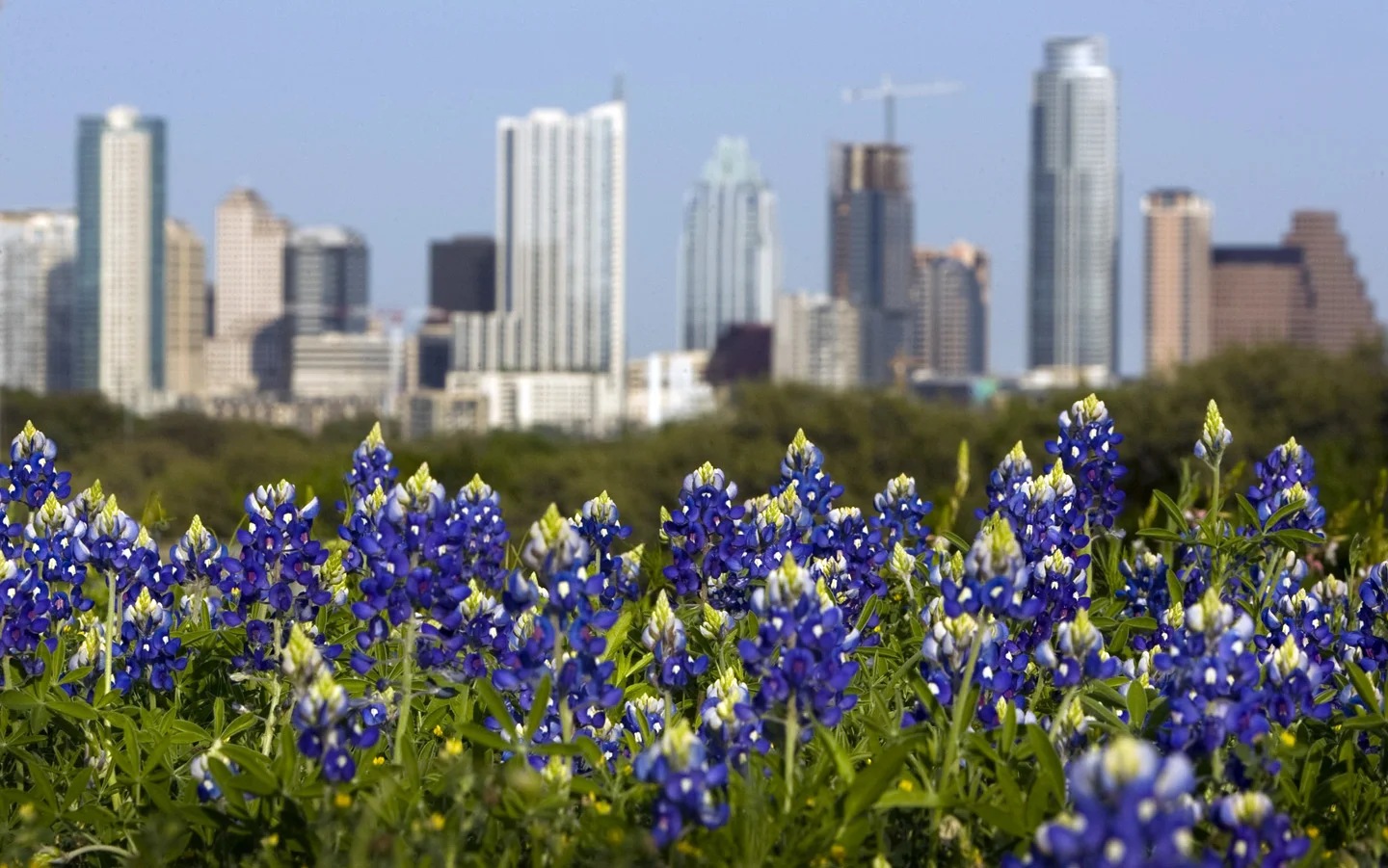  Our company was founded by a 6th generation Austinite who was looking to leave a legacy for his children the 7th generation and, help people in the process. &nbsp;We want to help anyone who wants to call Austin home but, can't through conventional m