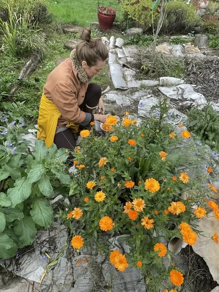 Natural skincare ingredients used in holistic facial treatments