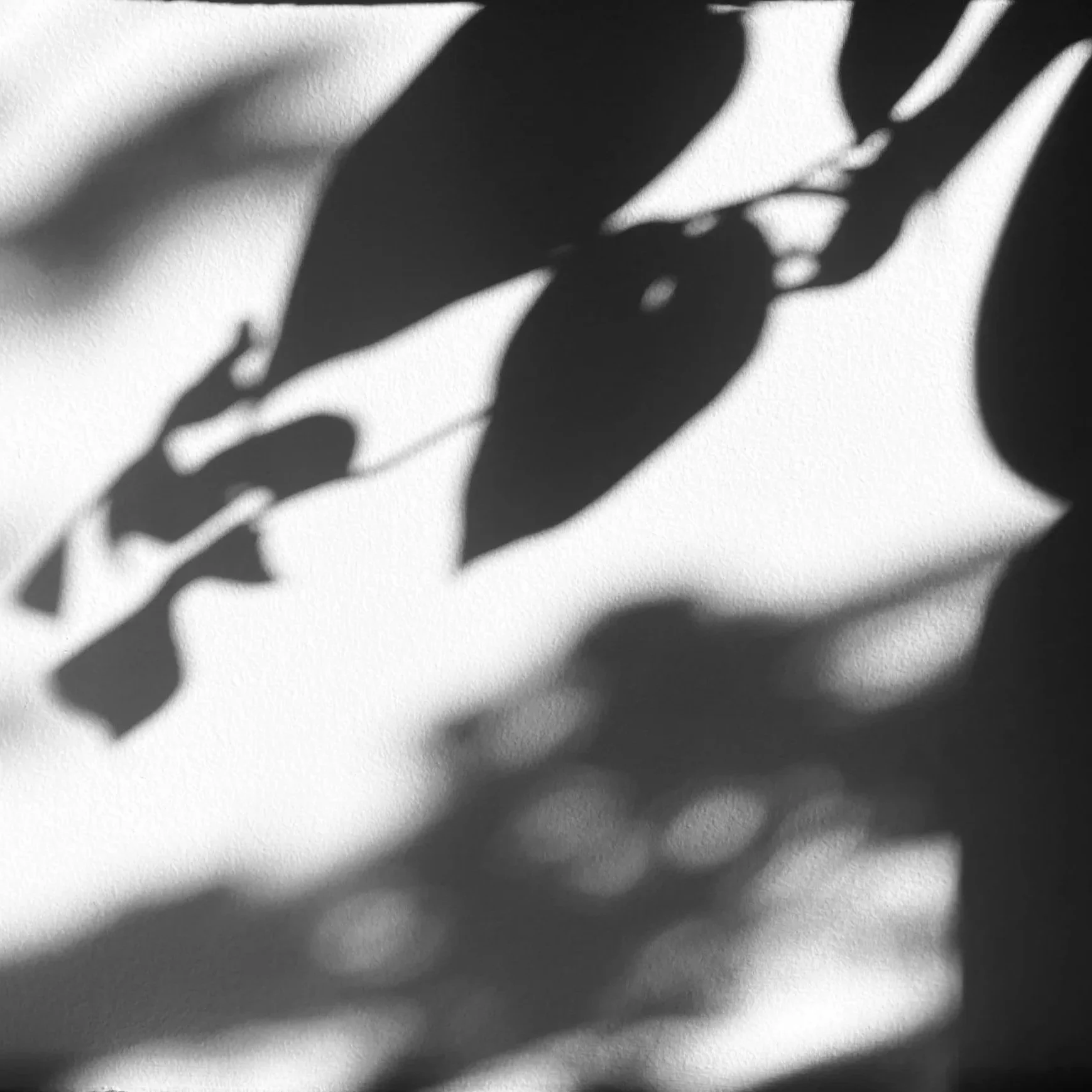 Black and white shadows of leaves on a textured wall.
