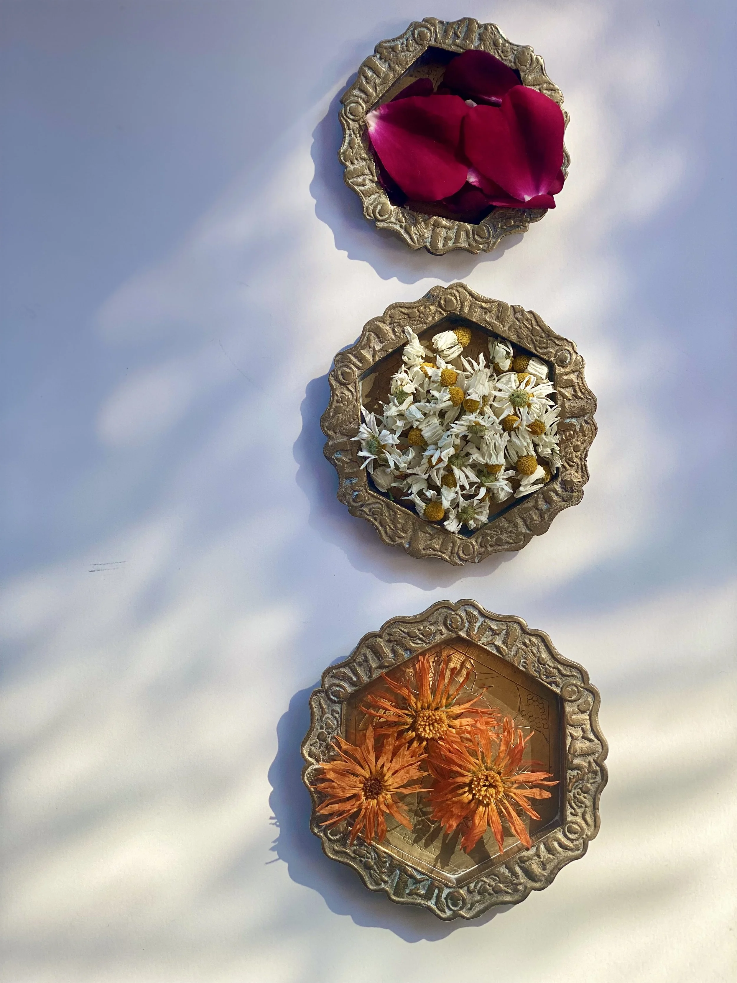 Natural skincare ingredients used in holistic facial treatments