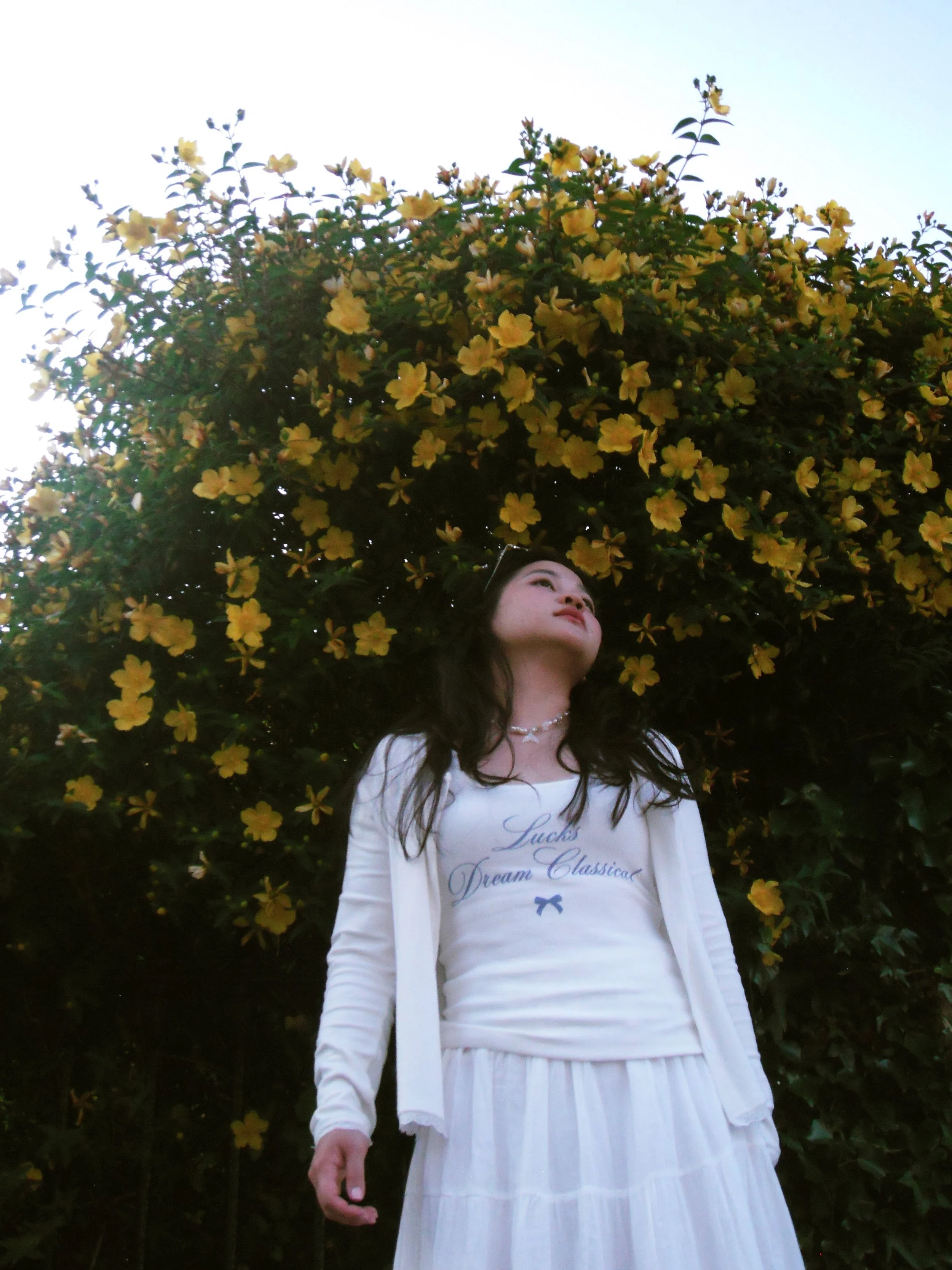 A woman in white standing in front of a large bush with yellow flowers, looking upward with her face slightly tilted