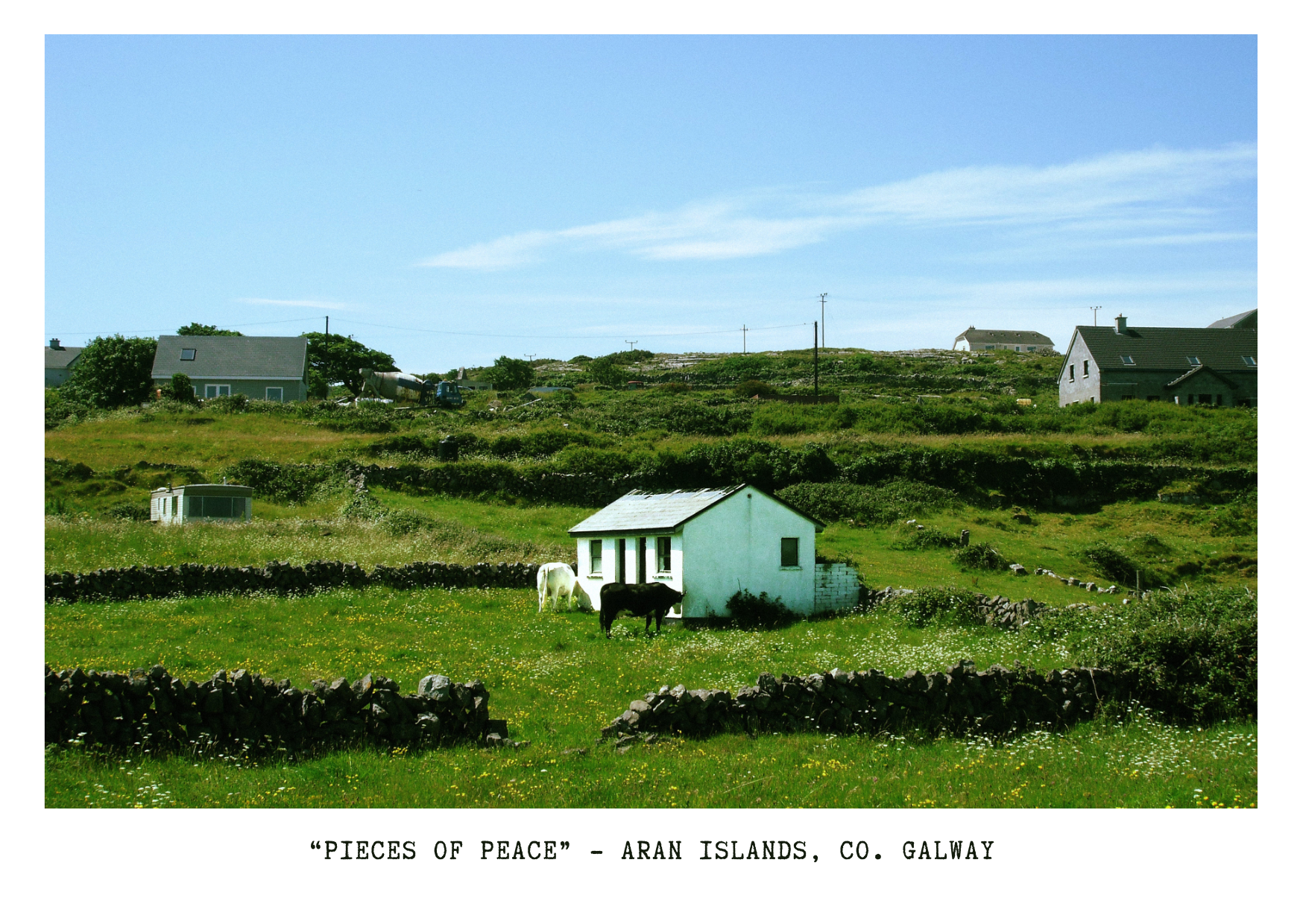 A scenic rural landscape on Aran Islands, Galway with green fields, a small white house, two horses in the foreground, stone walls, and houses on a hillside under a blue sky.