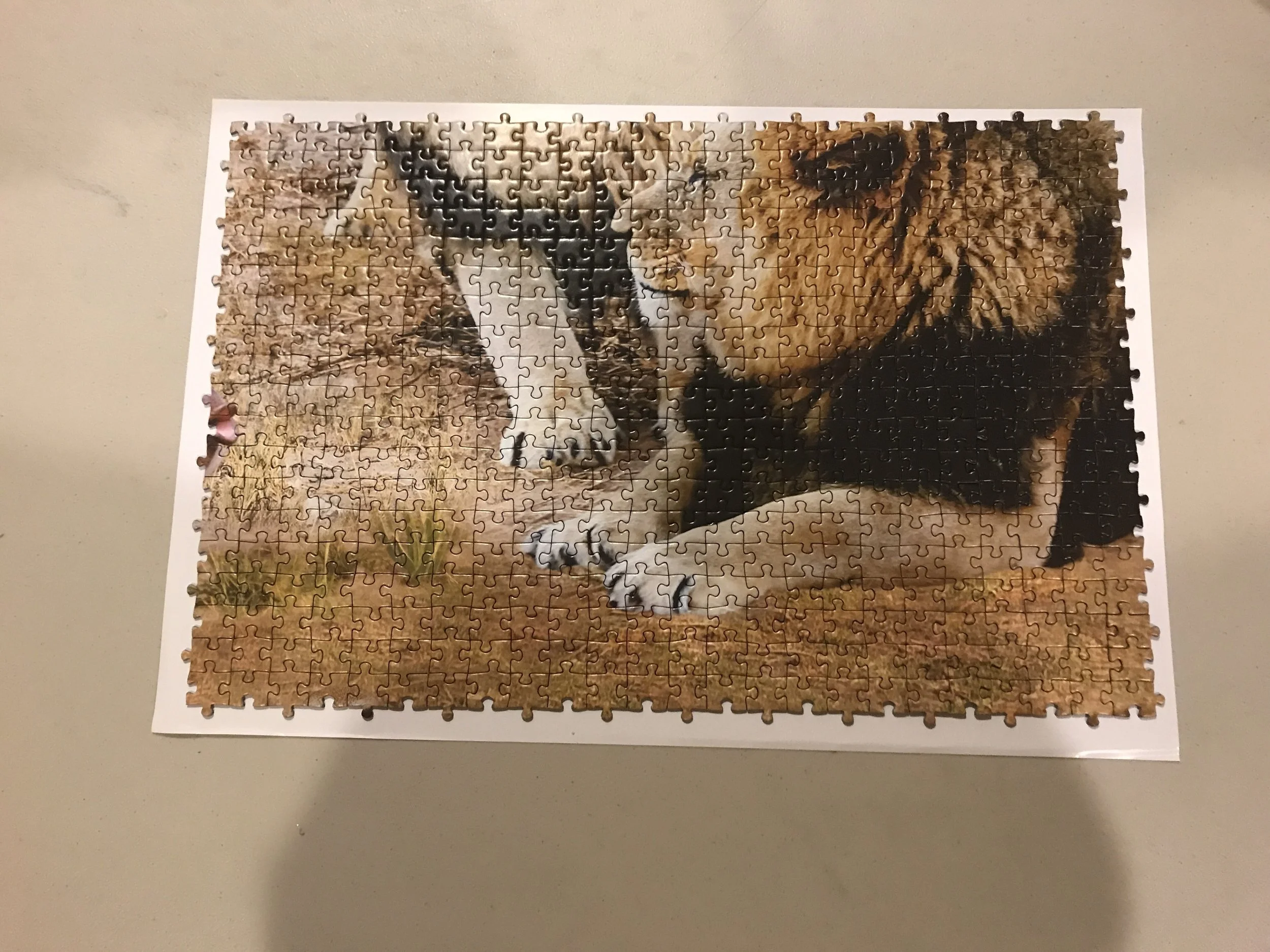 jack-of-puzzles-52110-piece-puzzle-process-11.jpeg