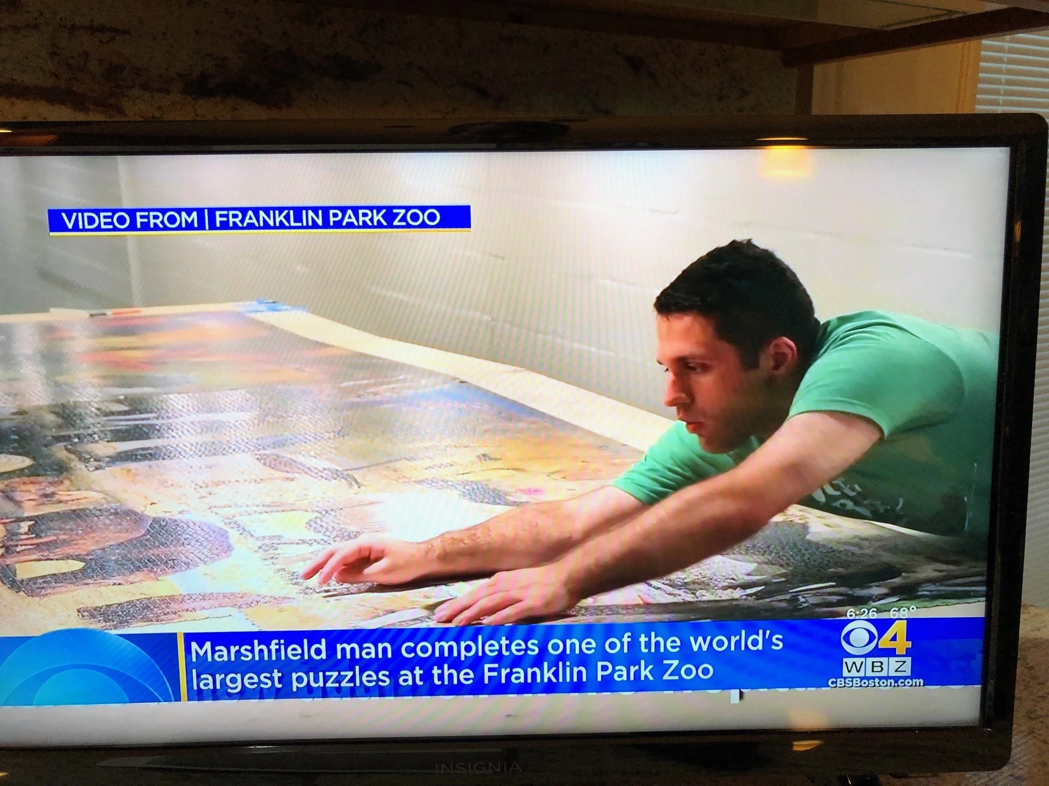 Jack Brait, aka Jack Of Puzzles, on WBZ TV news connecting the whole 52,110 piece puzzle by MartinPuzzle at the Franklin Park Zoo in Boston, MA