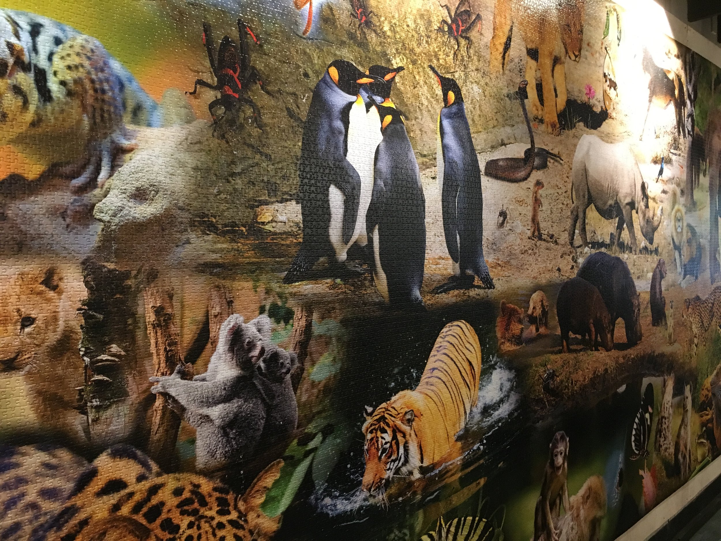 jack-of-puzzles-52110-piece-puzzle-process-10.jpeg
