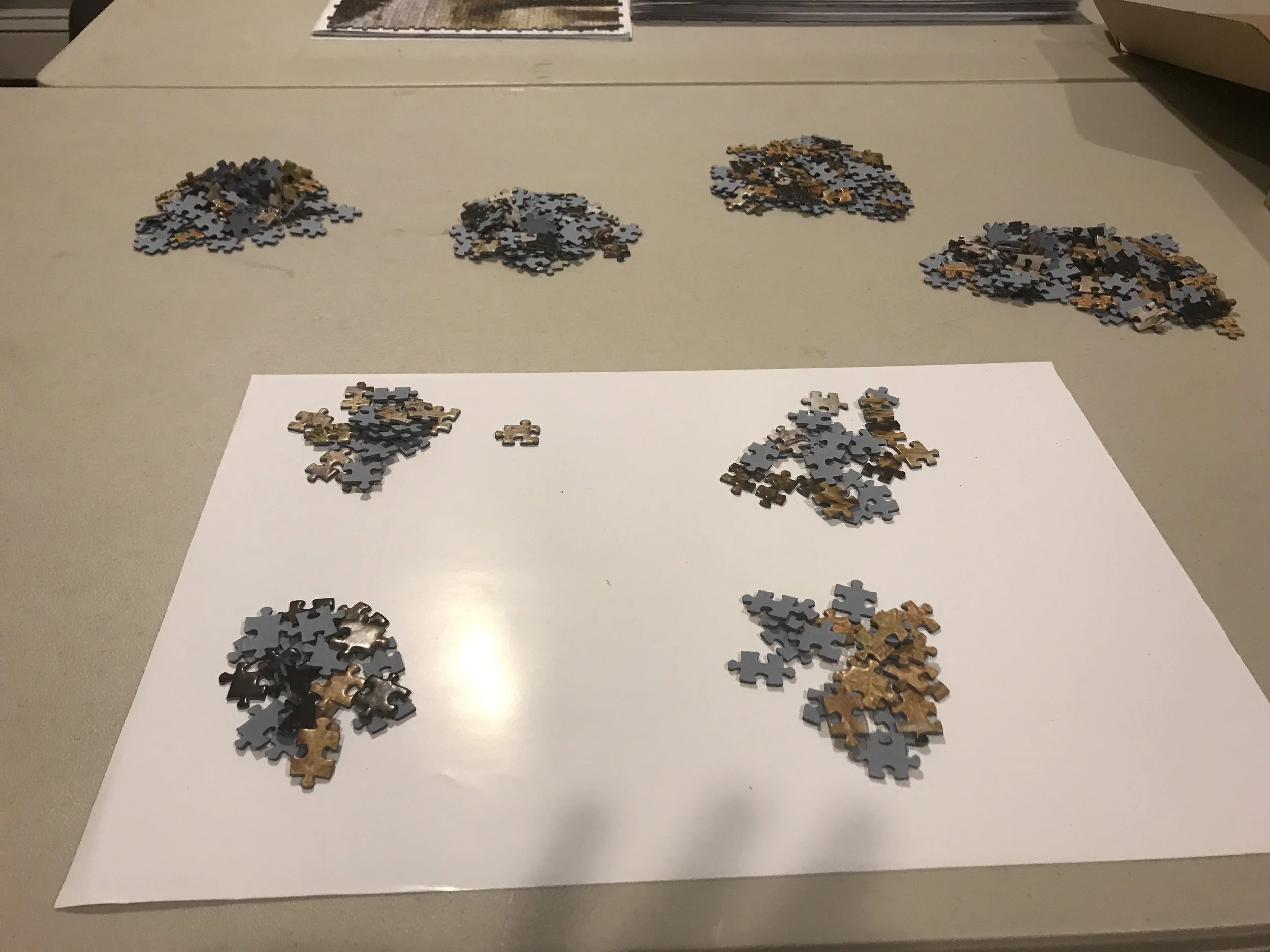 jack-of-puzzles-52110-piece-puzzle-process-18.jpeg