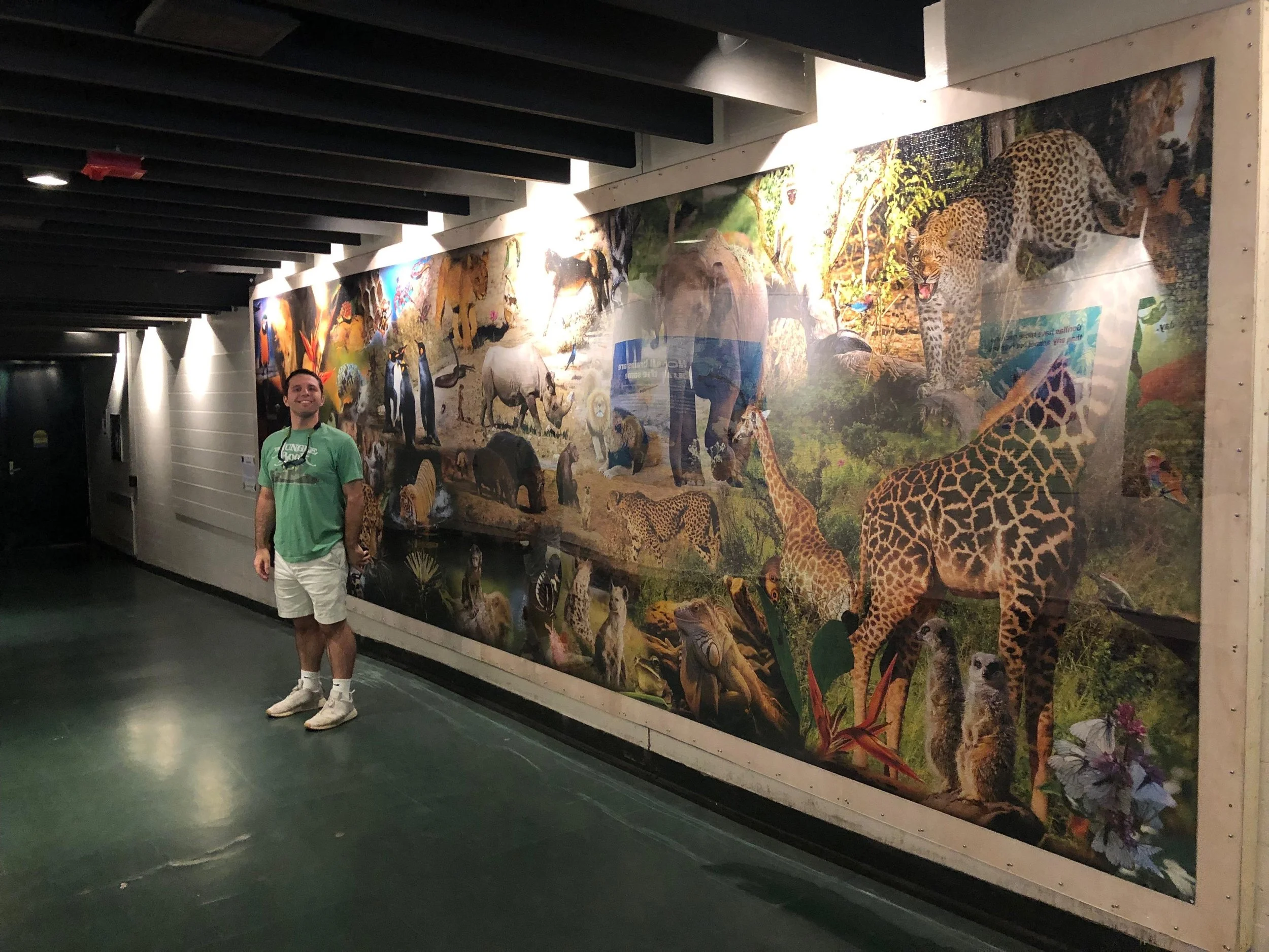 The 52,110 piece “Collage of Animals” puzzle by MartinPuzzle in Trèbiç, Czech Republic
It took me 32 Days, 173 Hours
From February 26, 2019 to March 30, 2019. It is on display at Franklin Park Zoo in Boston, MA.