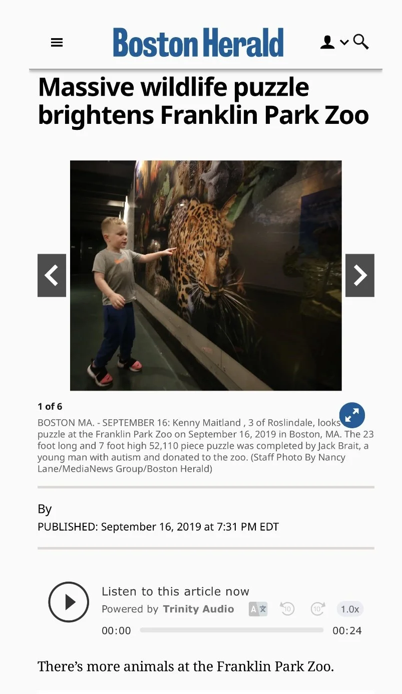 Boston Herald article about the 52,110 piece puzzle by MartinPuzzle at the Franklin Park Zoo in Boston, MA