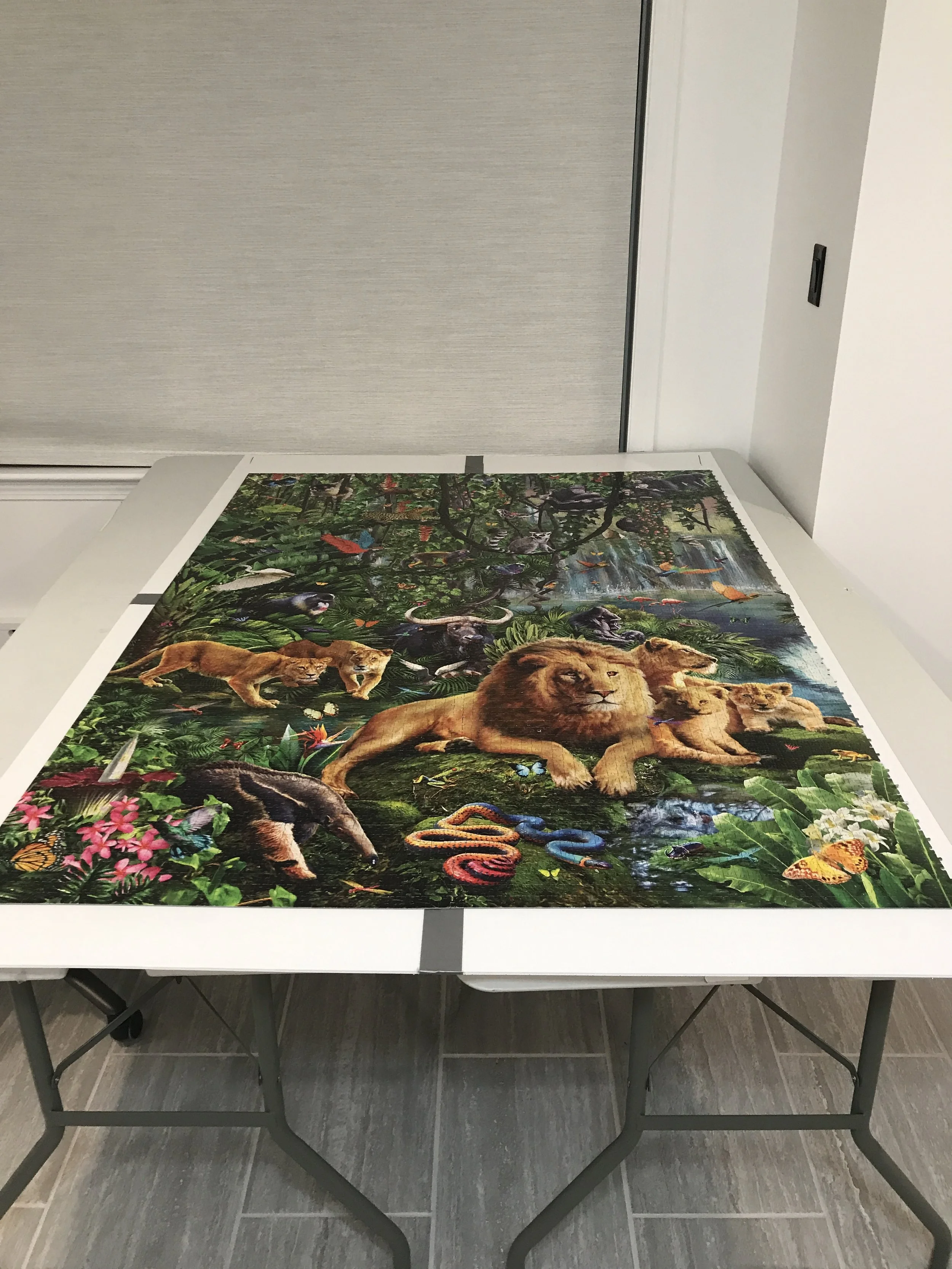 jack-of-puzzles-33600-piece-puzzle-process-1.jpeg