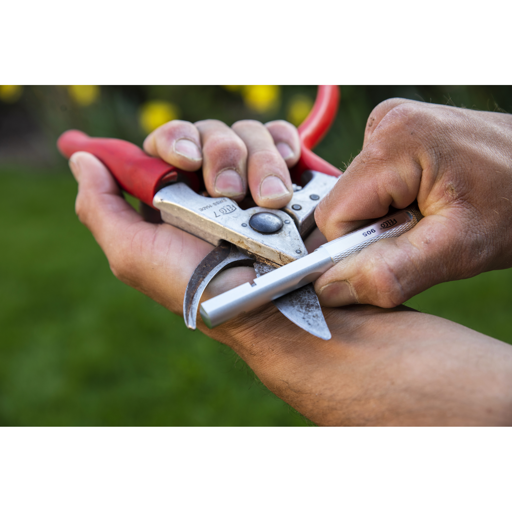 Square_packshots_PNG-FELCO 905-1.png