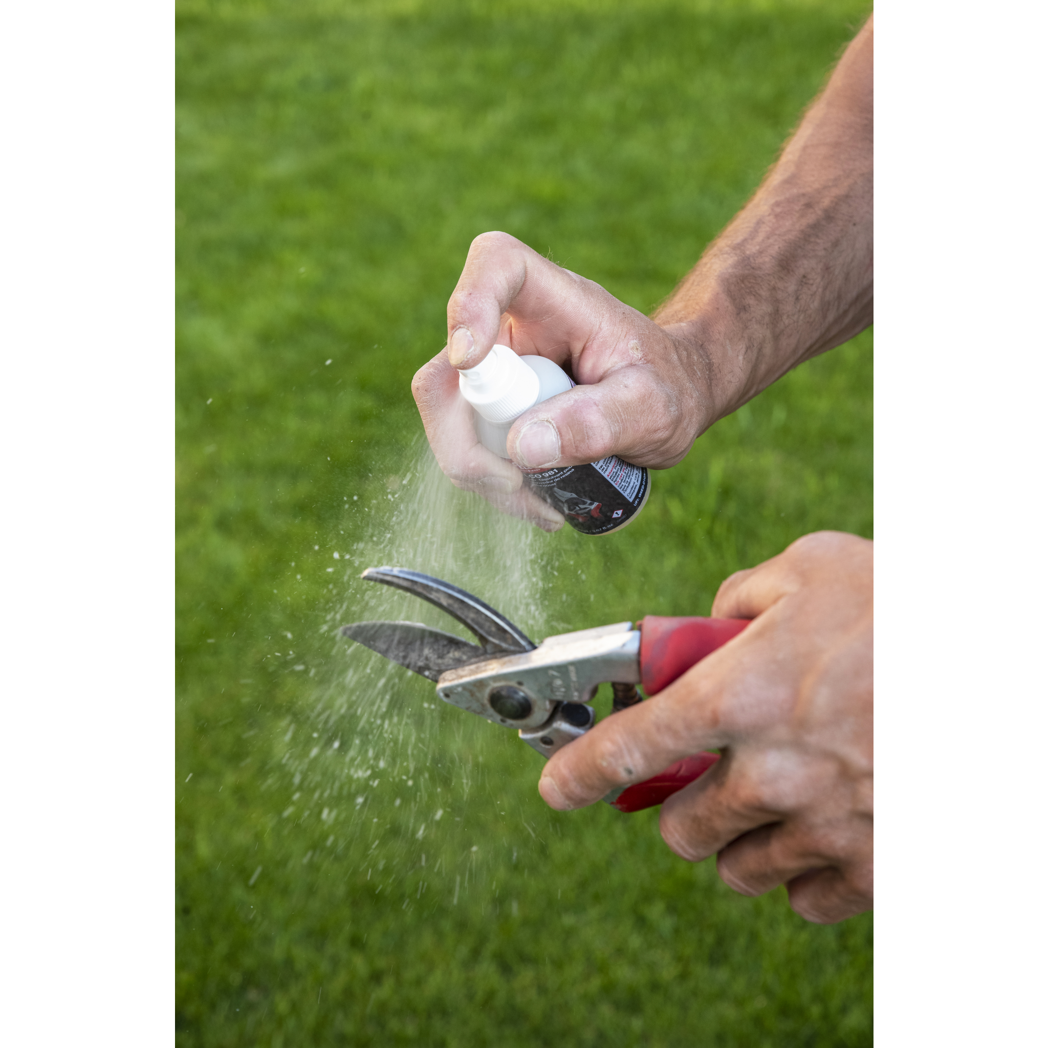 Square_packshots_PNG-Shooting 2020 Landeron - FELCO 981 02.png