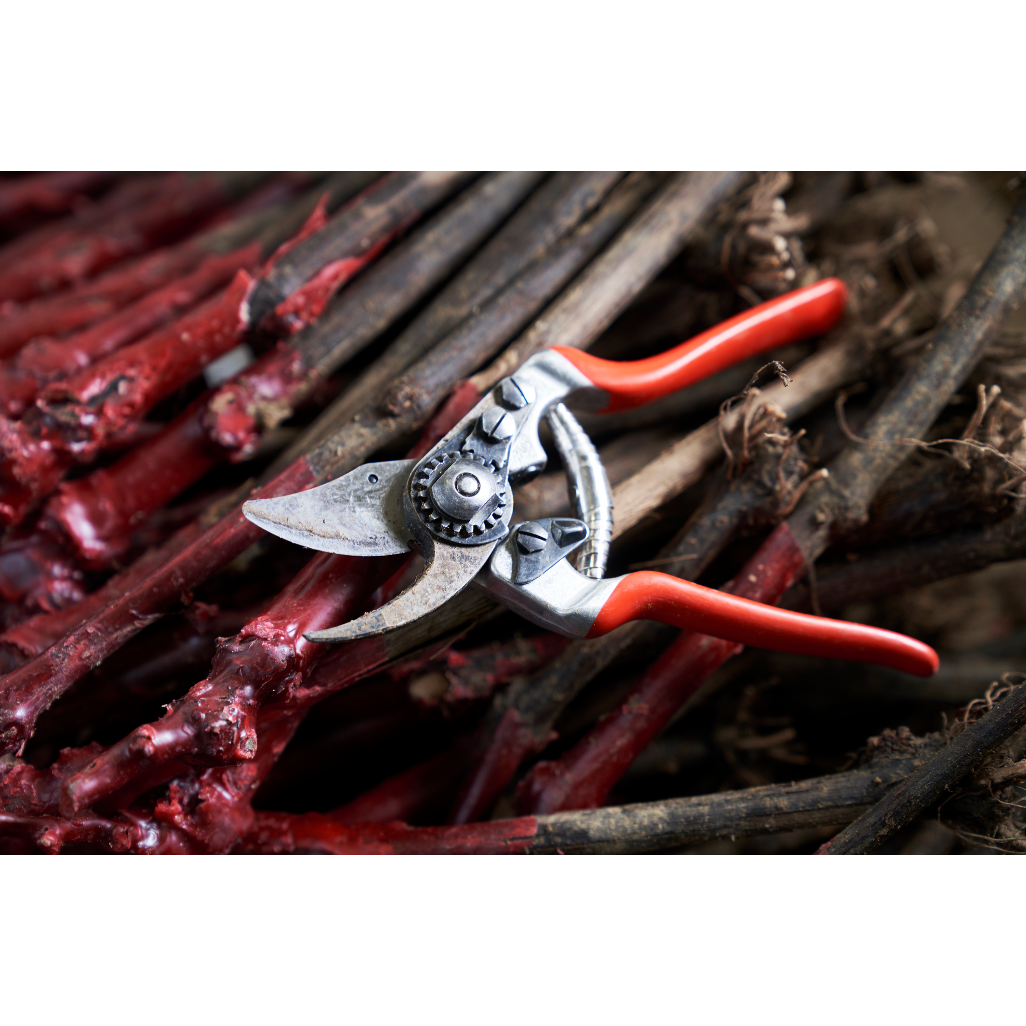 Square_packshots_PNG-FELCO+14-7.png