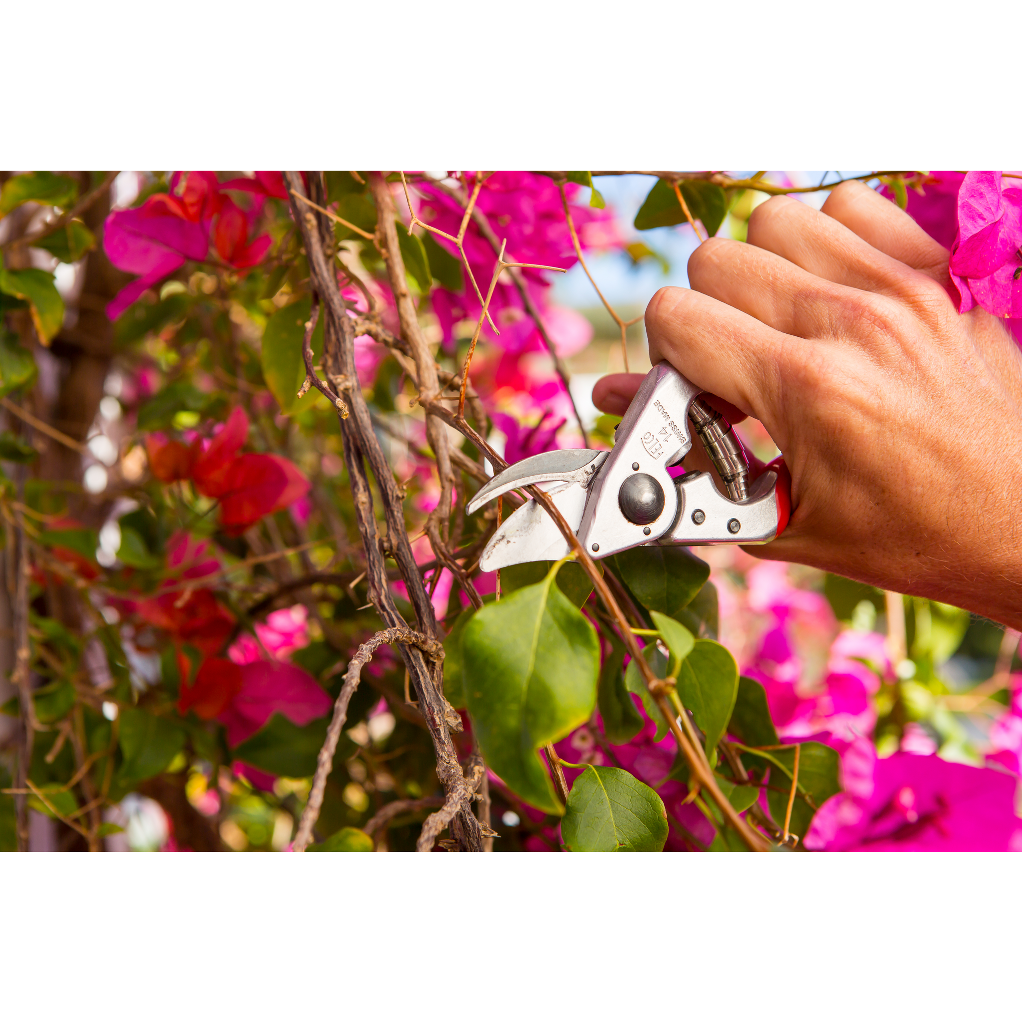 Square_packshots_PNG-FELCO+14-8.png