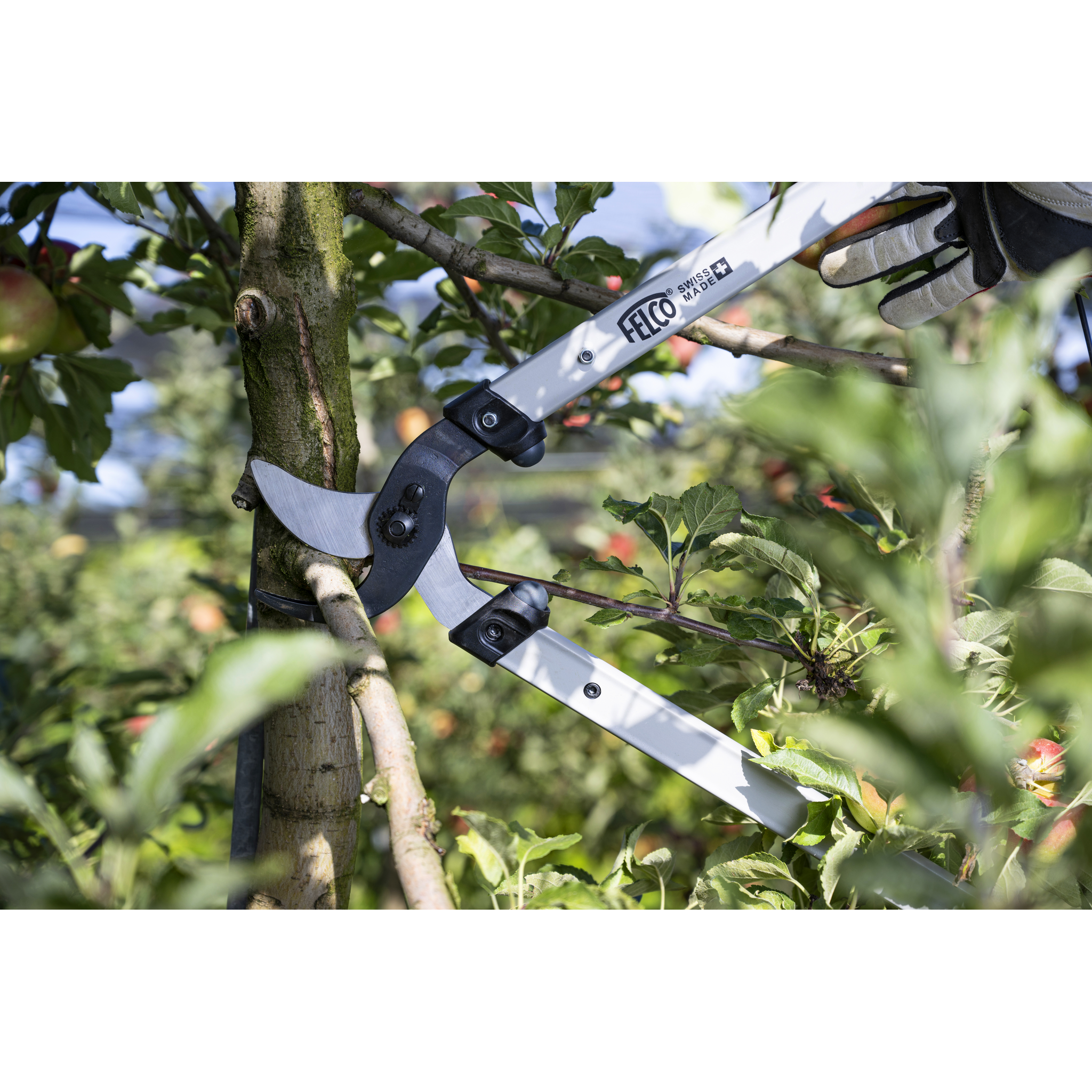 Square_packshots_PNG-FELCO 221_01.png