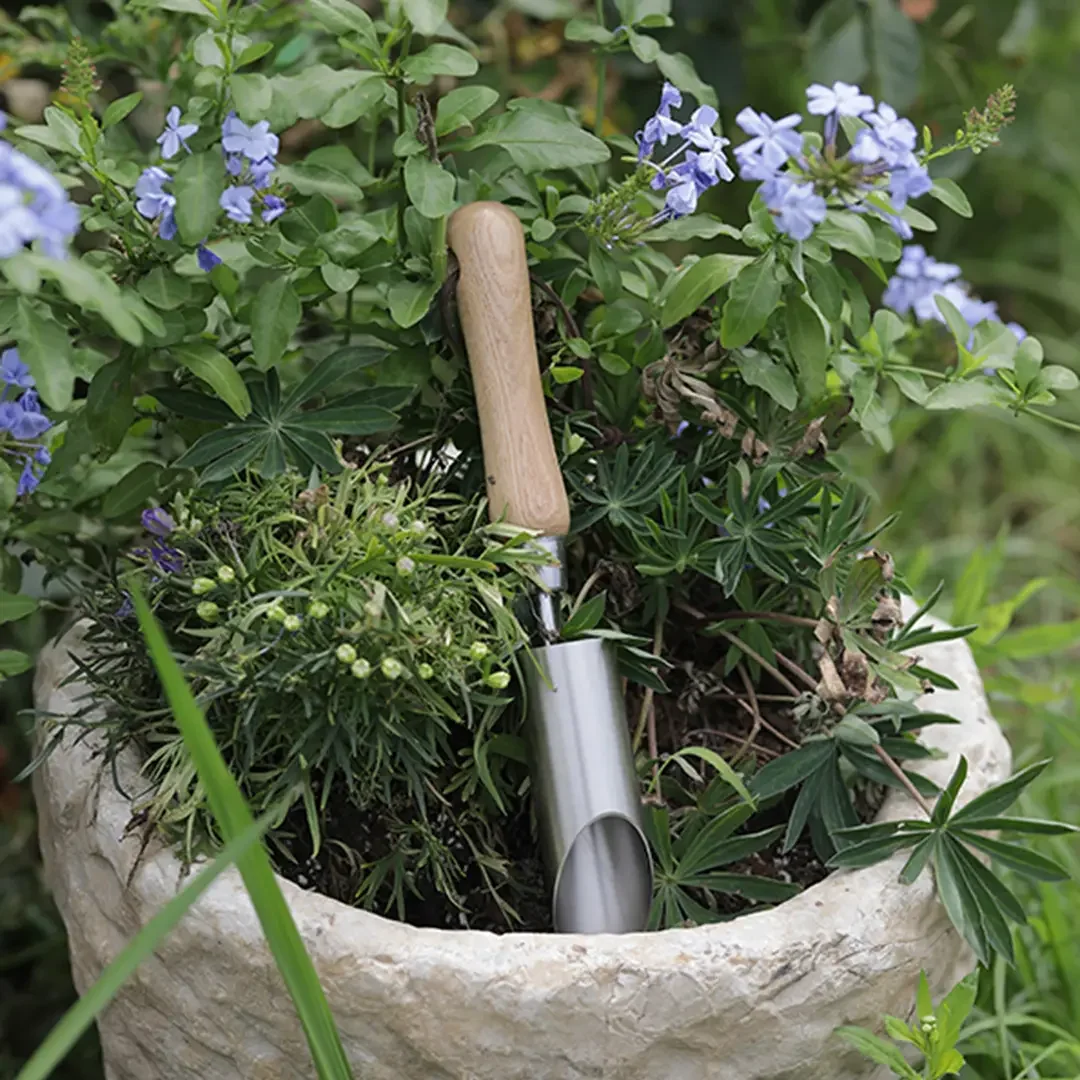 Ein Blumentopf mit verschiedenen grünen Pflanzen und blauen Blüten, darin ein kleiner Gartenwerkzeug mit Holzgriff und Metallkopf.