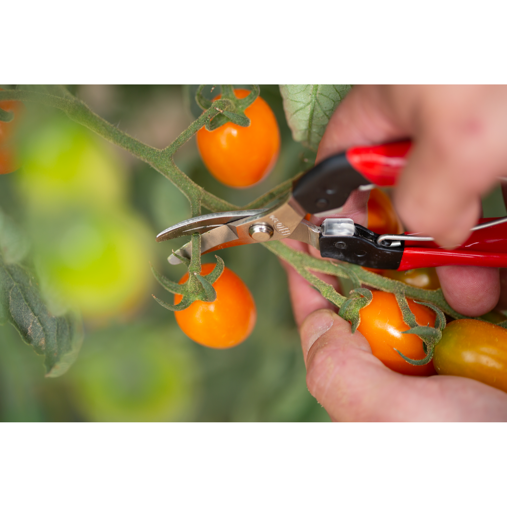 Square_packshots_PNG-FELCO 320_3218.png