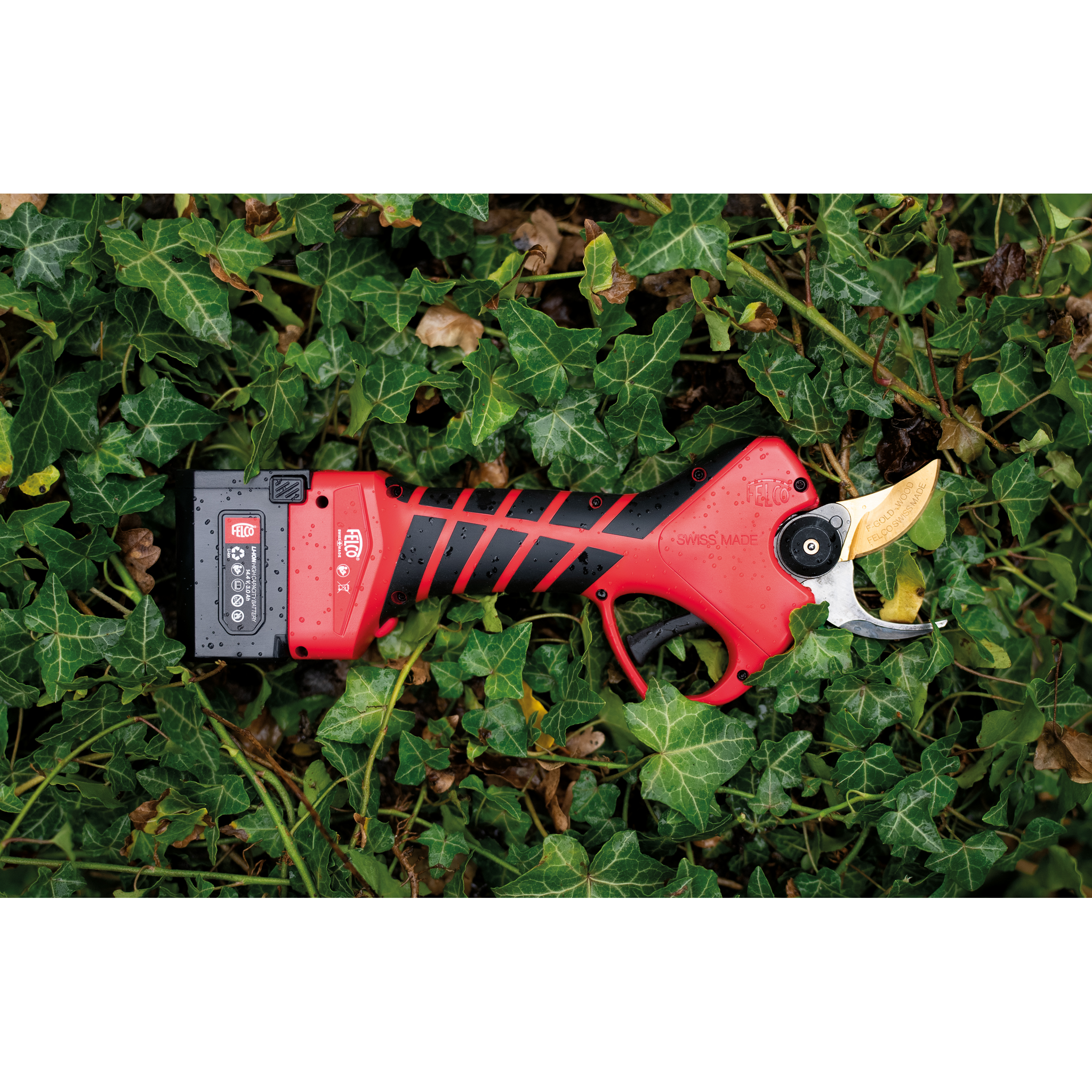Akku-Heißklebepistole mit rotem und schwarzem Gehäuse, liegt im Grün der Efeupflanzen auf dem Boden.