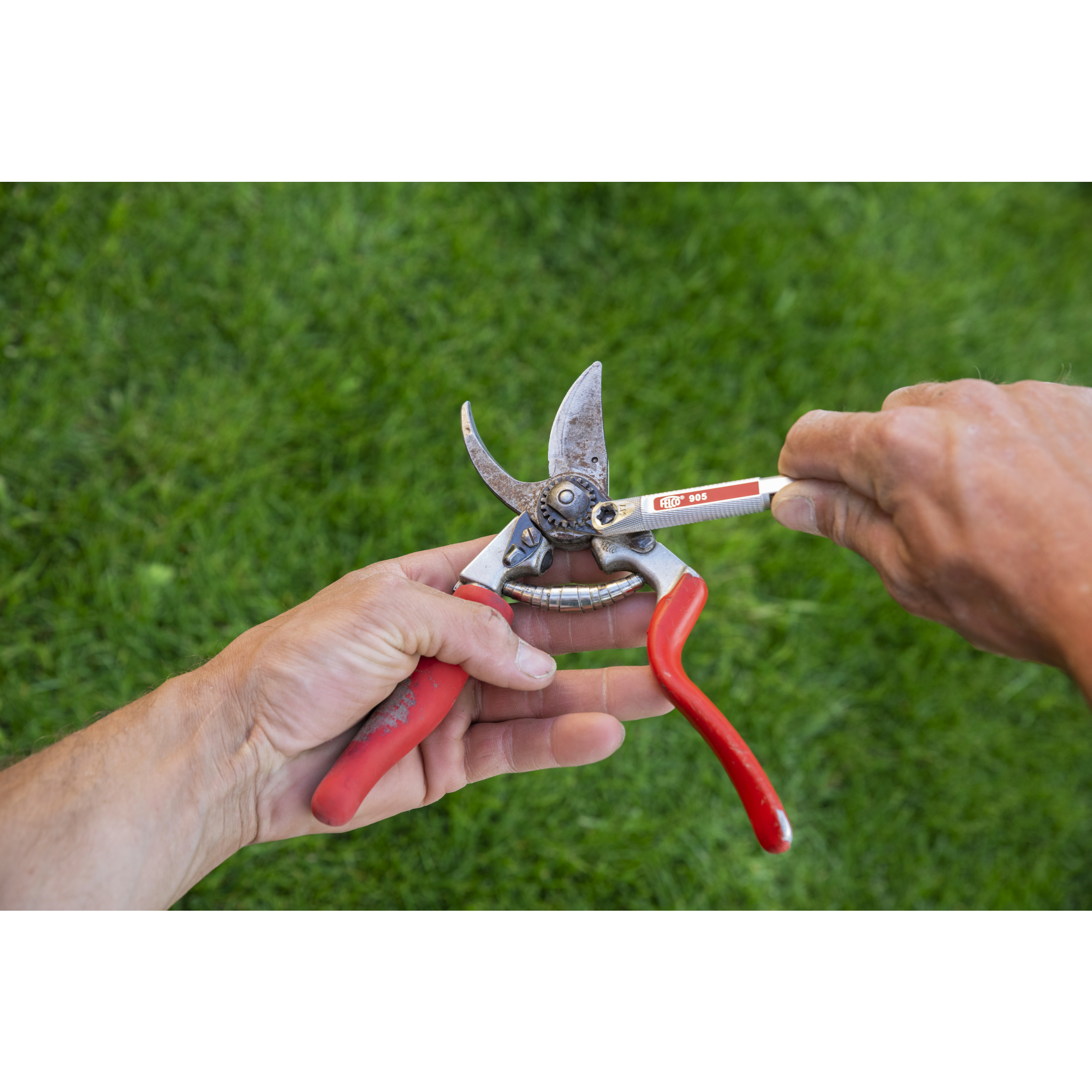 Square_packshots_PNG-FELCO 905-2.png