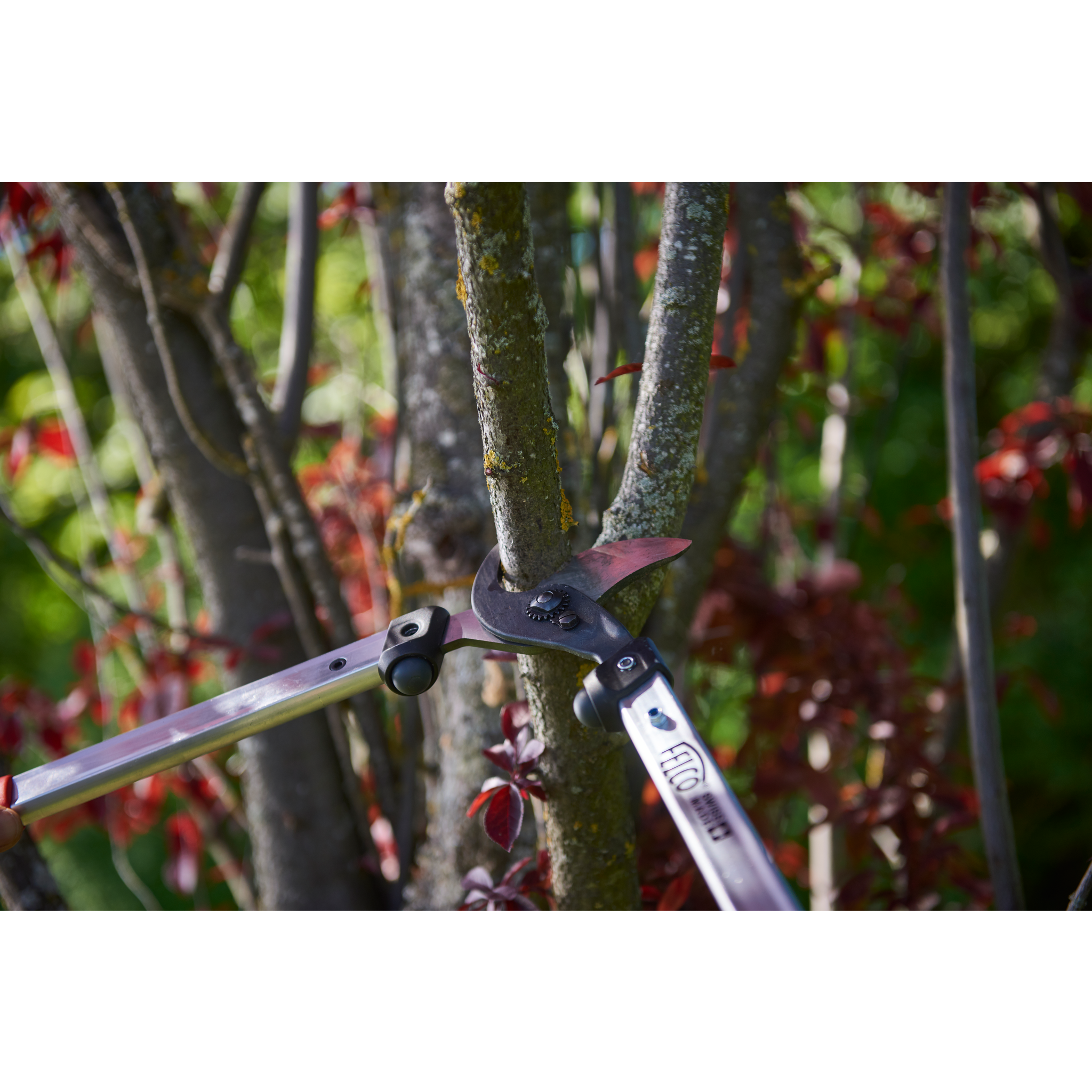 Square_packshots_PNG-FELCO 211-50 - in use - landscapes_002.png