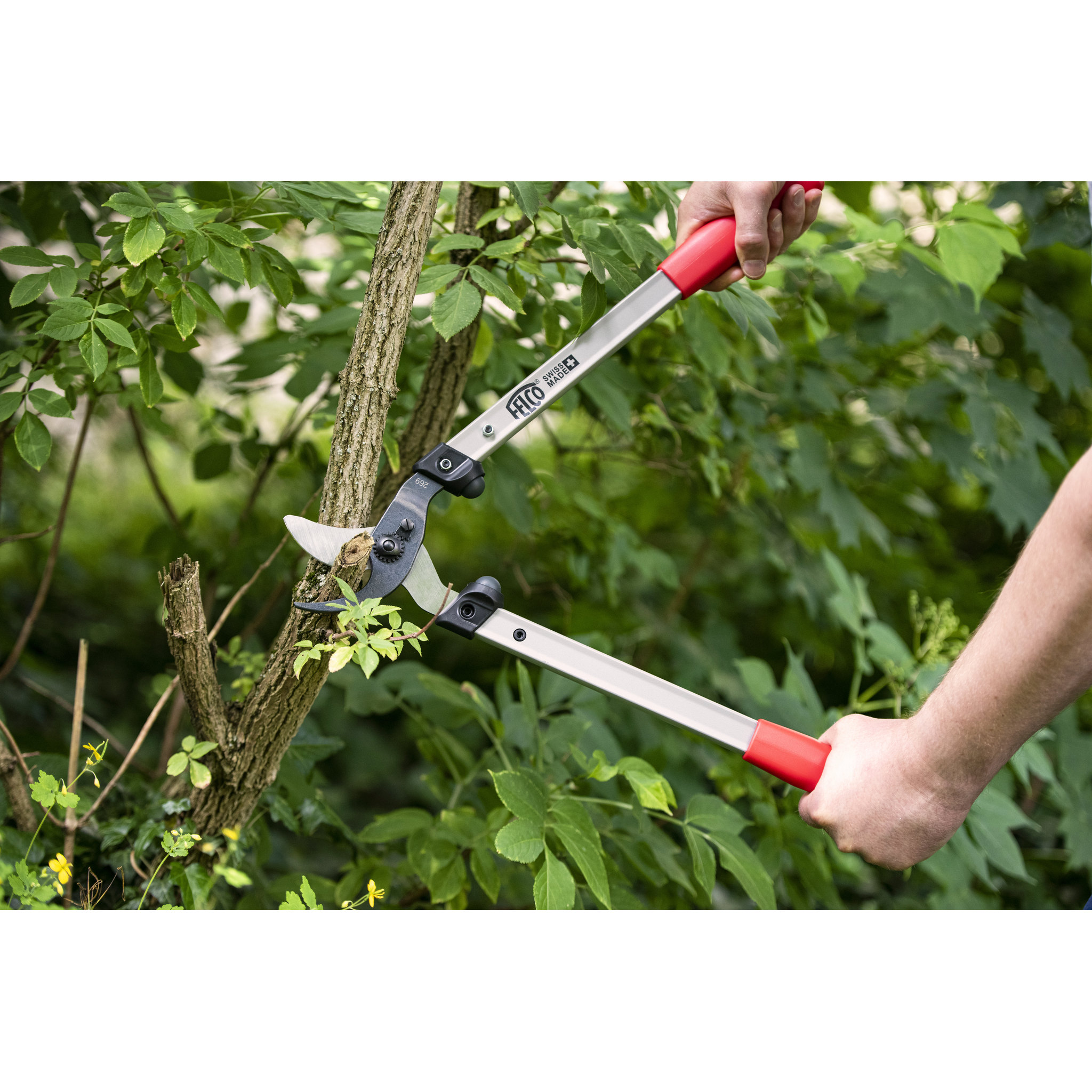 Square_packshots_PNG-FELCO 201-50.png