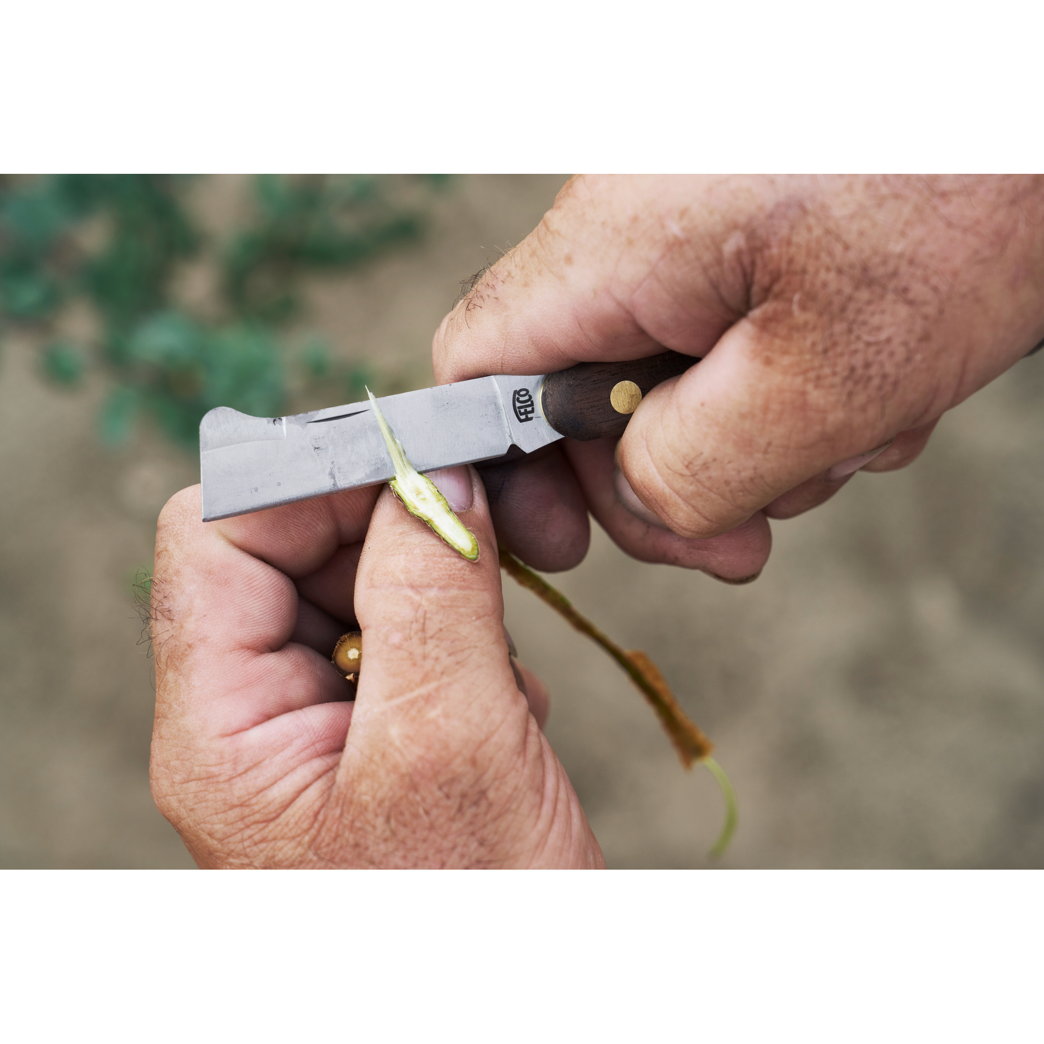 SHOPIFY spareparts-FELCO 512 - in use 10.png