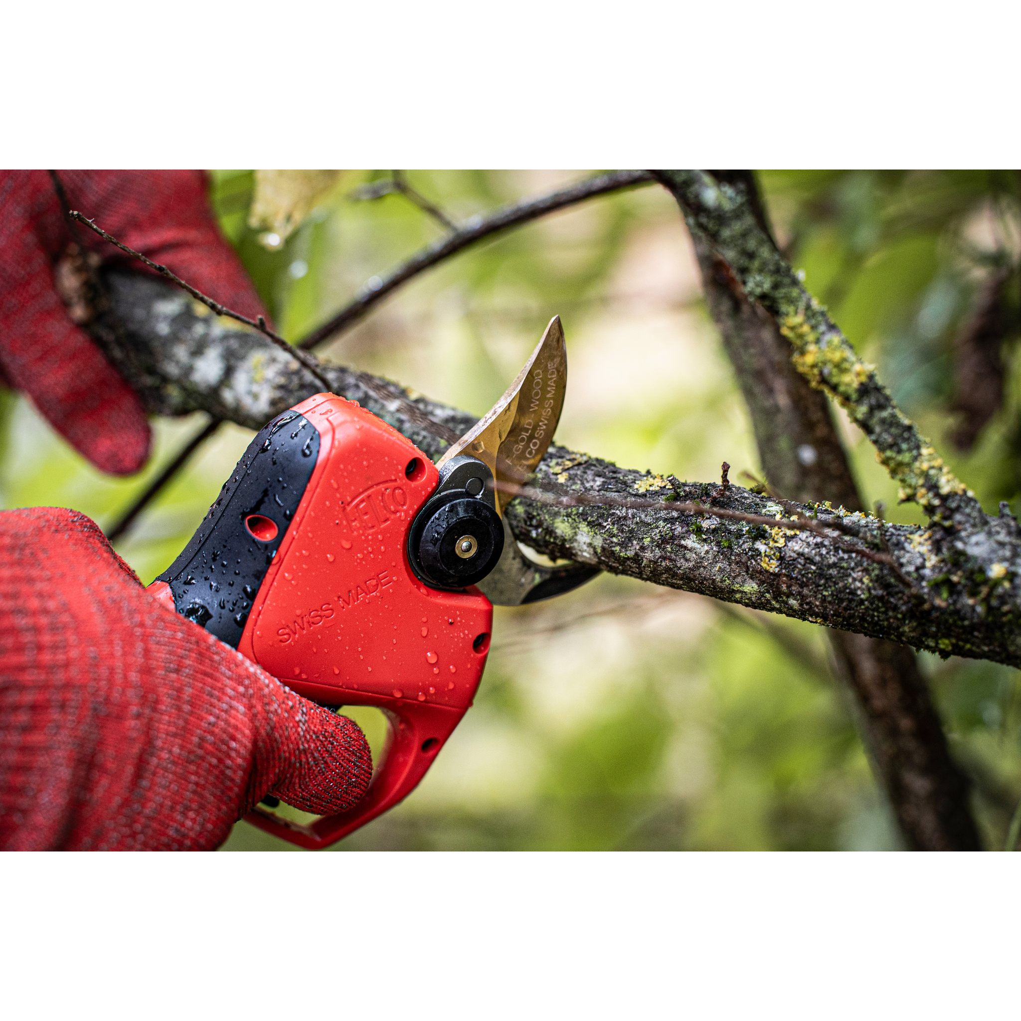 Square_packshots_PNG-FELCO 834 WOOD 08.png