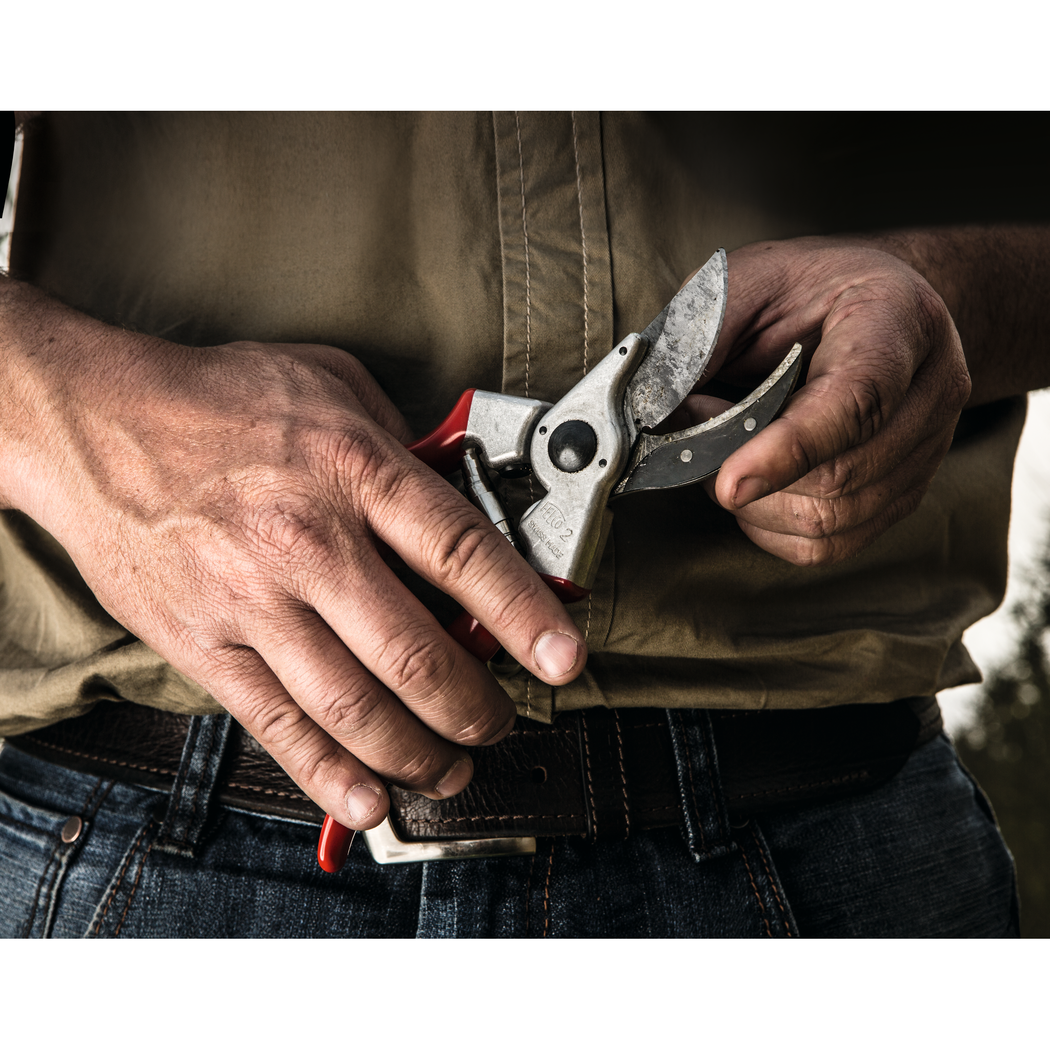 Square_packshots_PNG-FELCO 2-1.png