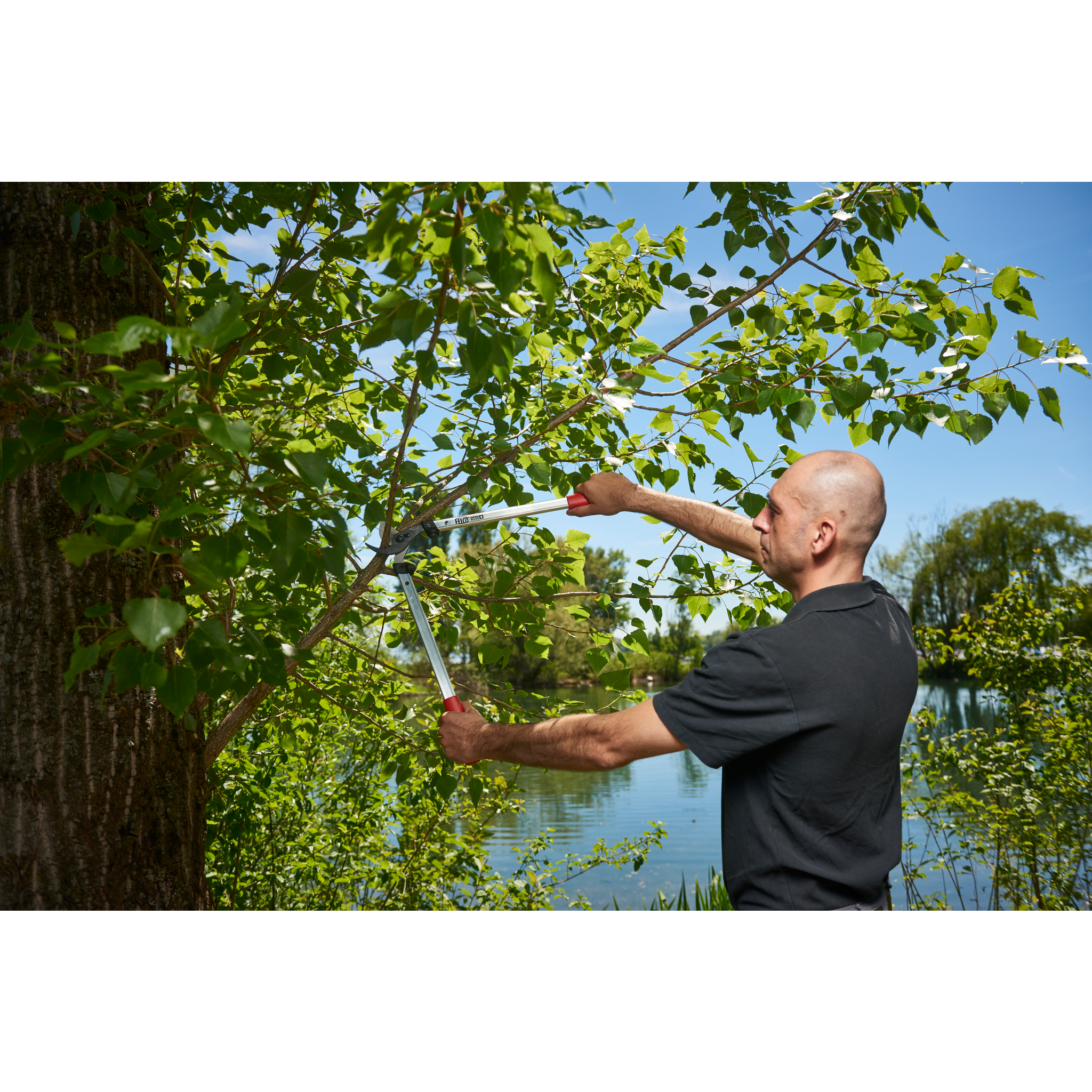 Square_packshots_PNG-FELCO 211-60 - in use - landscapes_001.png