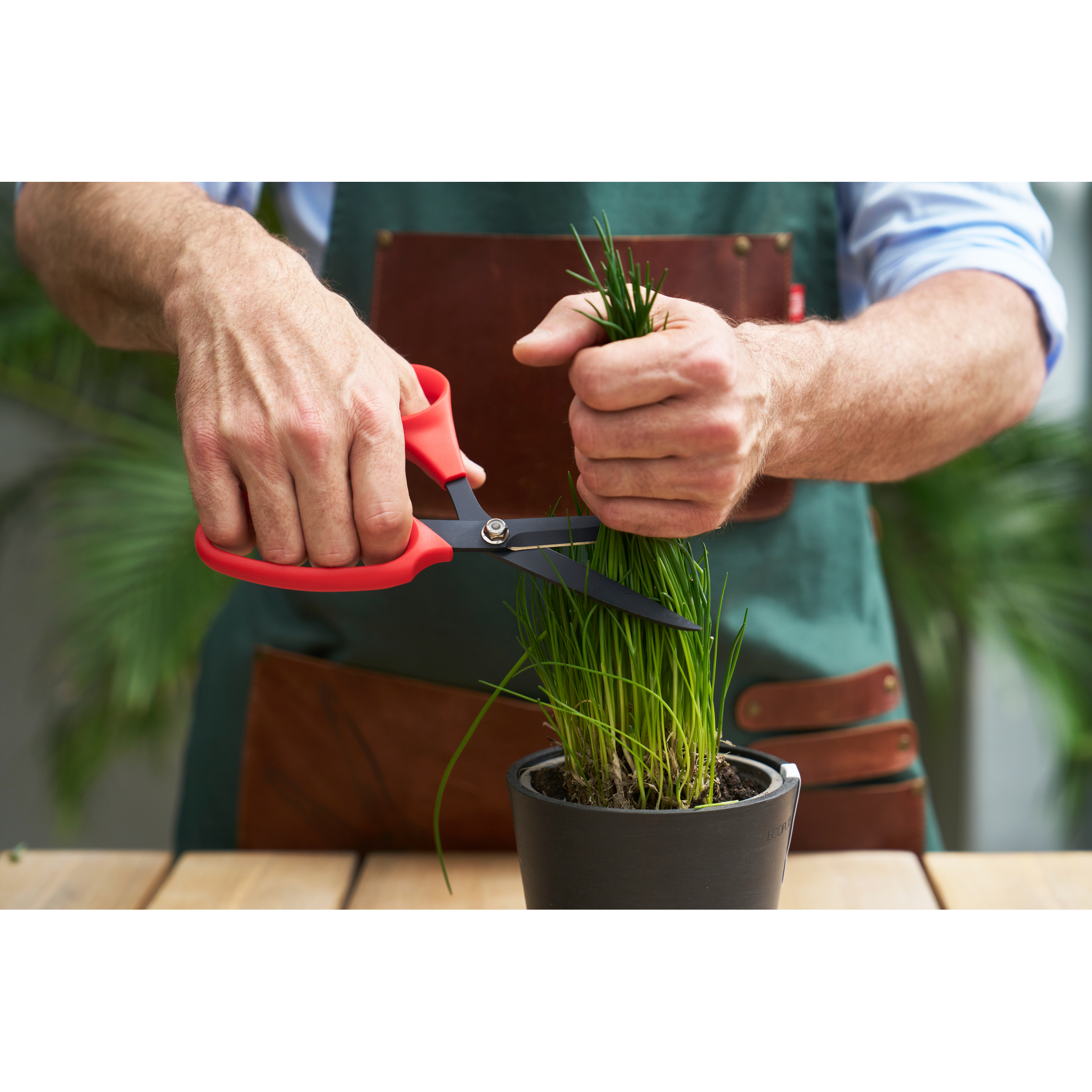 SHOPIFY spareparts-FELCO 455_06.png