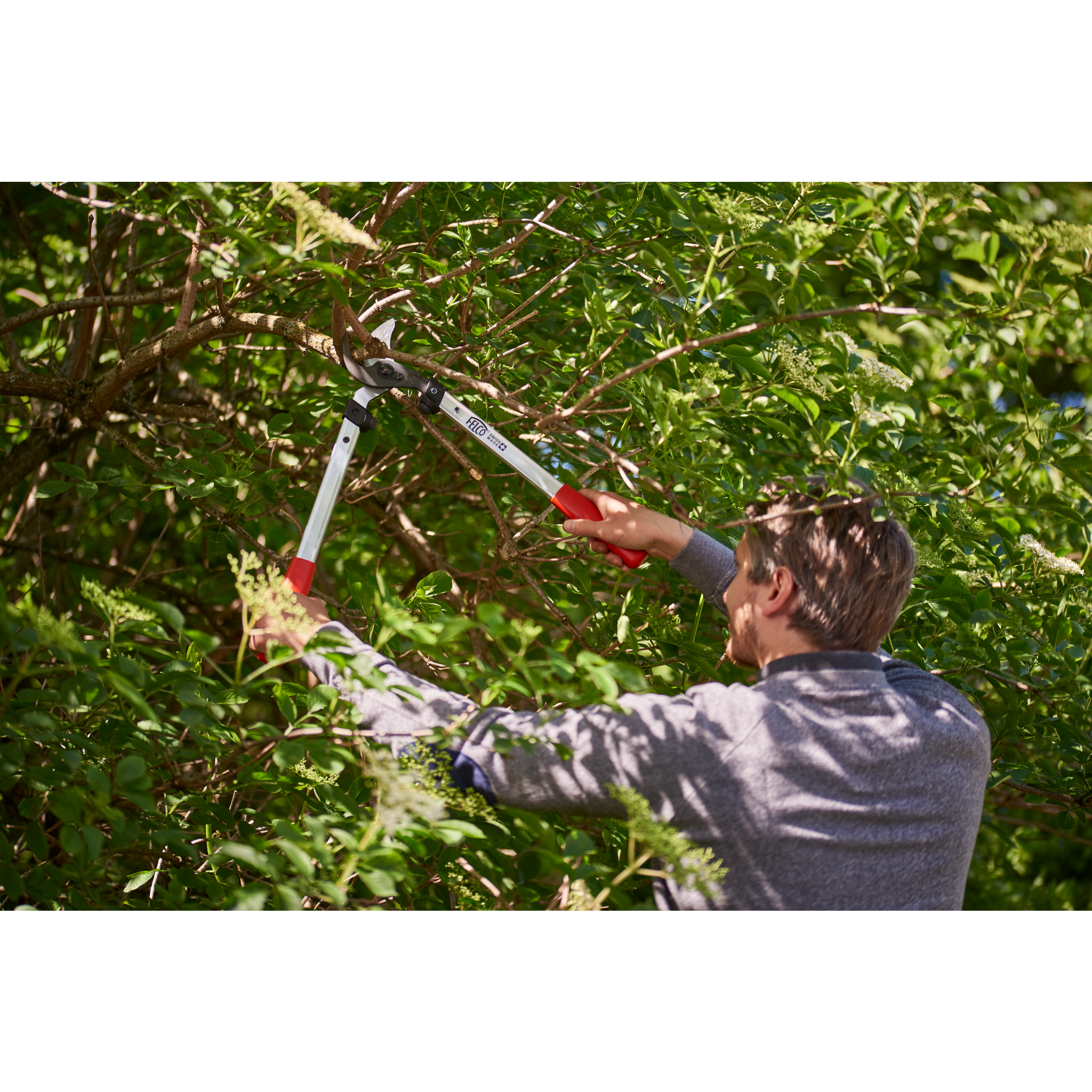 Square_packshots_PNG-FELCO 211-50 - in use - landscapes_004.png