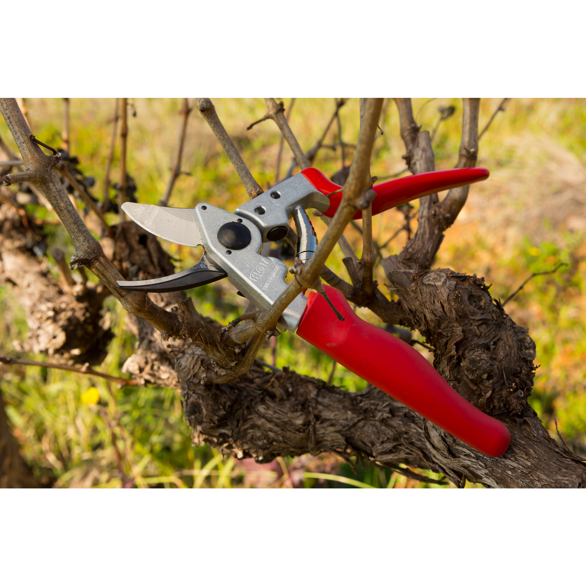 Square_packshots_PNG-FELCO 17 - VITICULTURE - 2016_0490.png