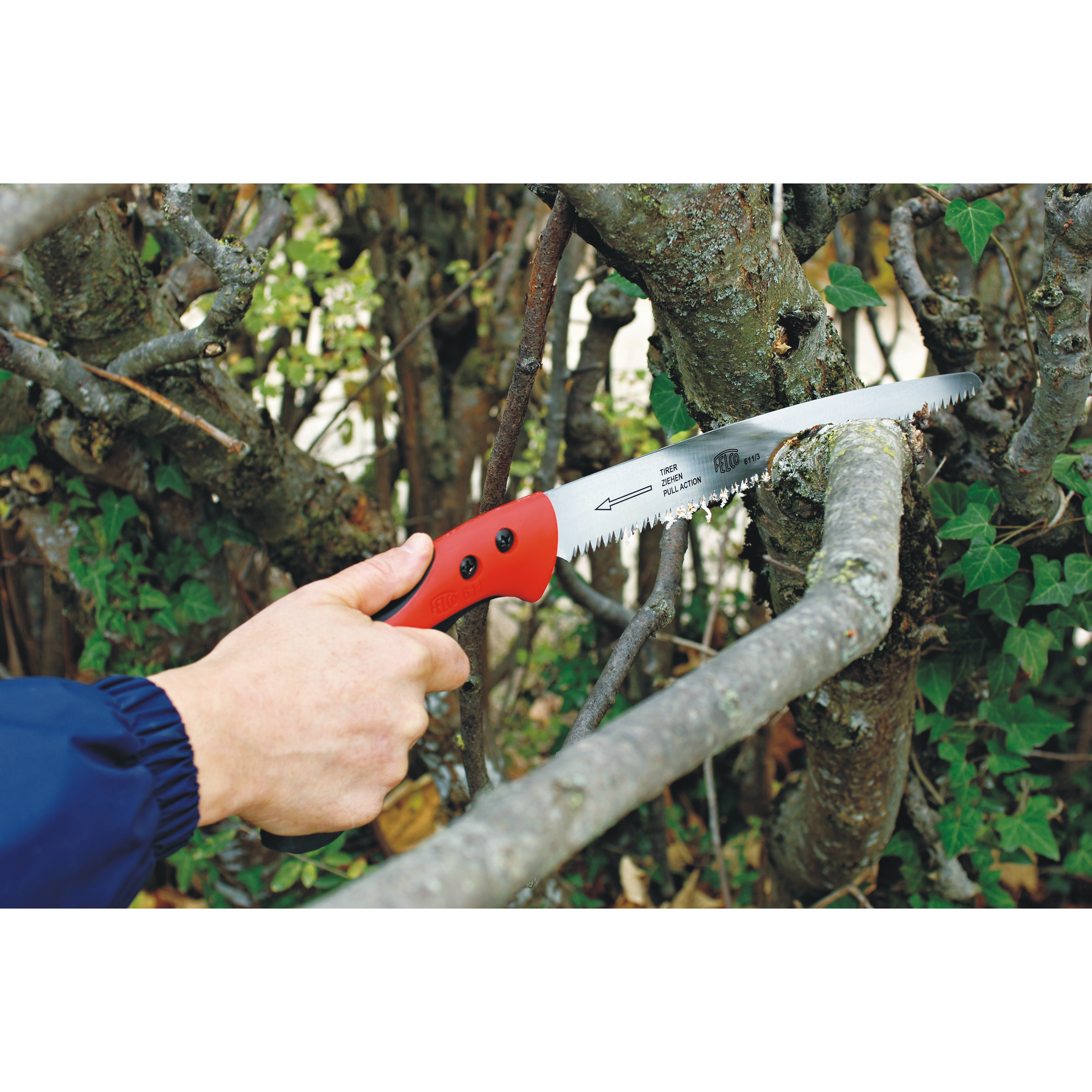 Square_packshots_PNG-FELCO 611_In Use_2.png