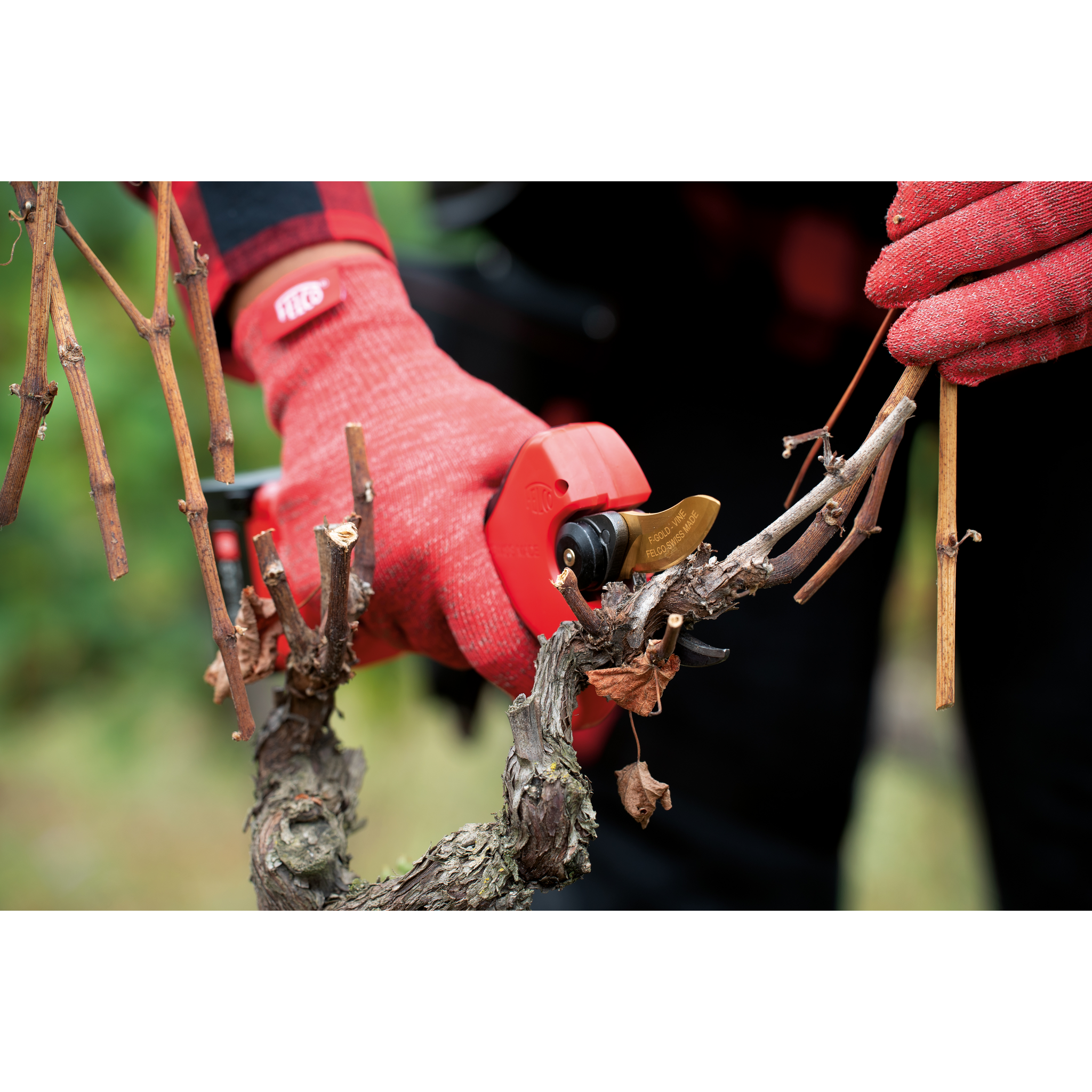 Square_packshots_PNG-FELCO 834 VINE 16.png