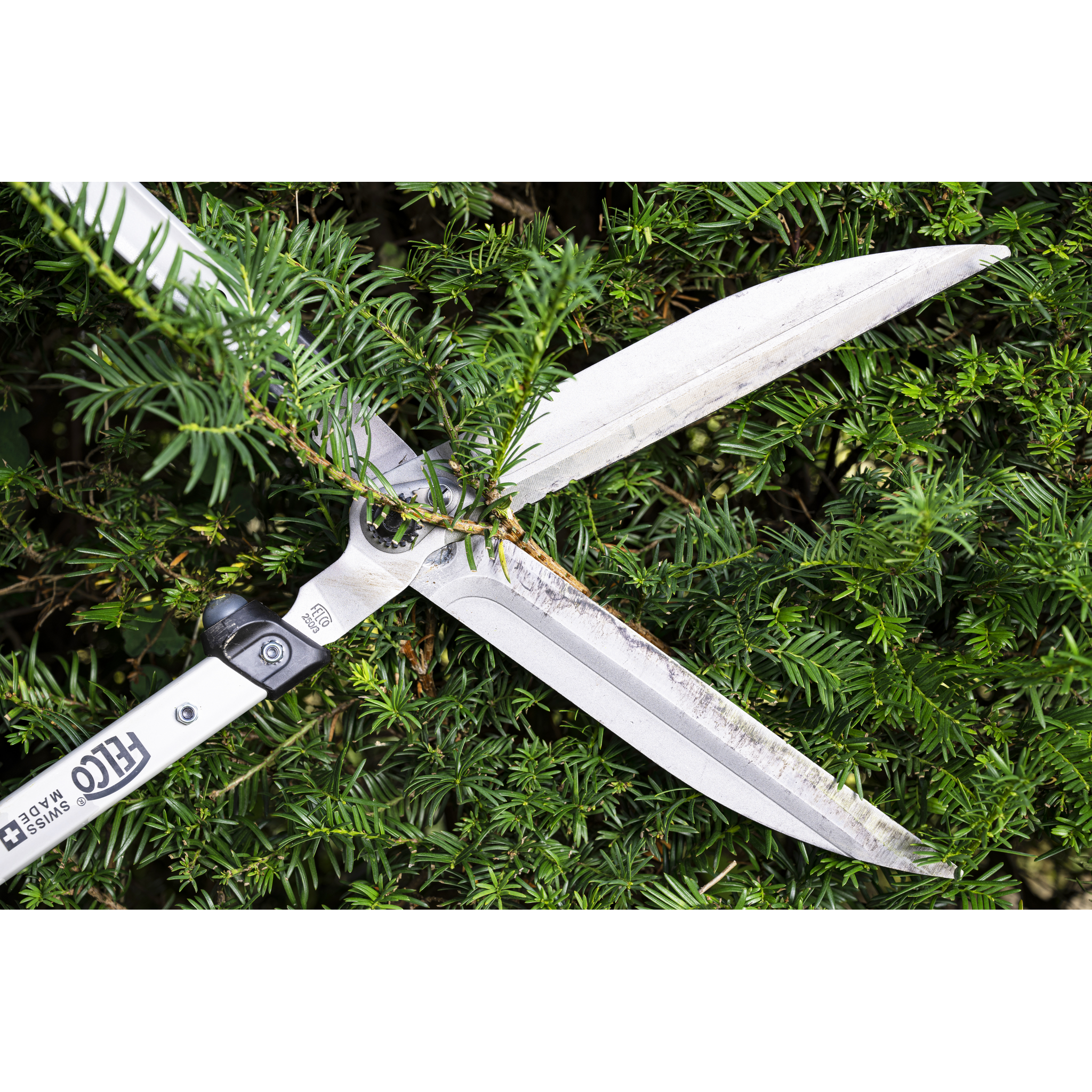 Square_packshots_PNG-FELCO 250-63_469.png