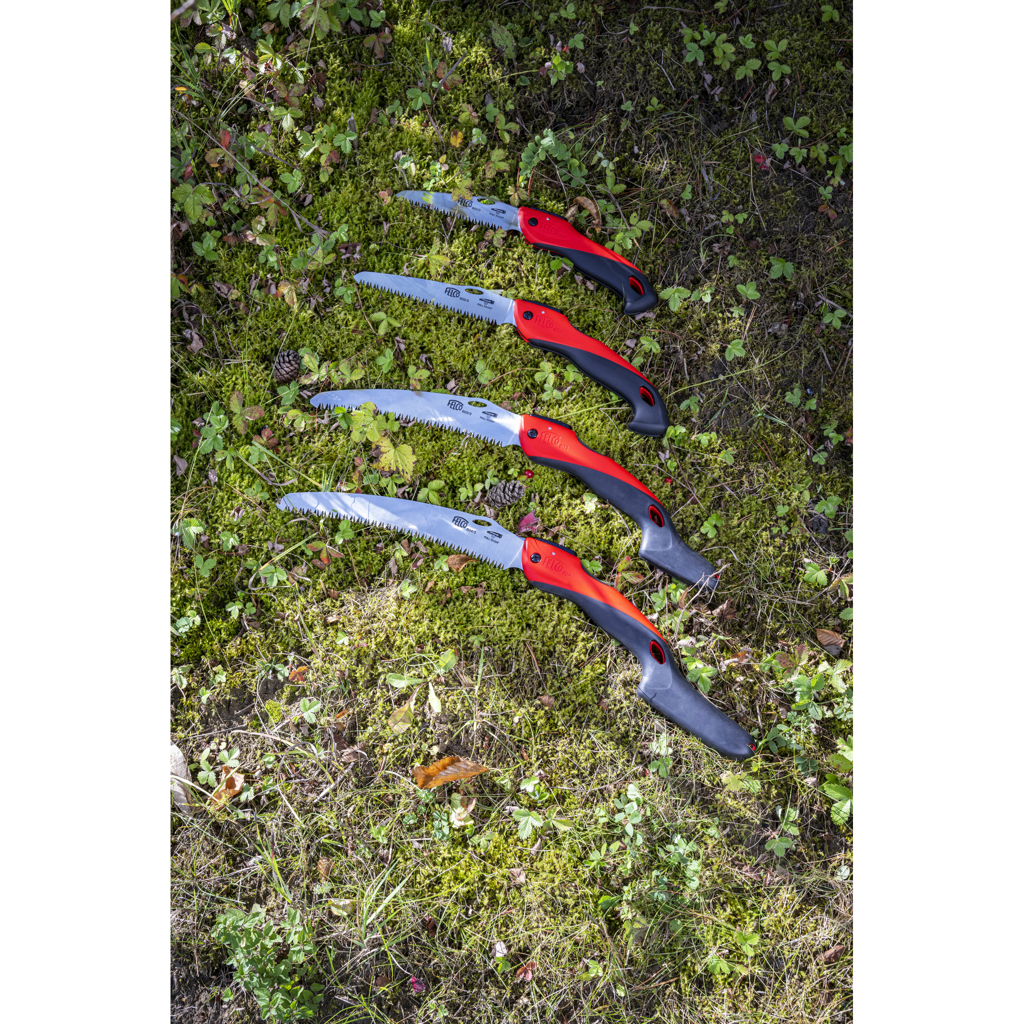 Vier rote und schwarze Baumsägen liegen auf Moos- und Grassboden im Freien.