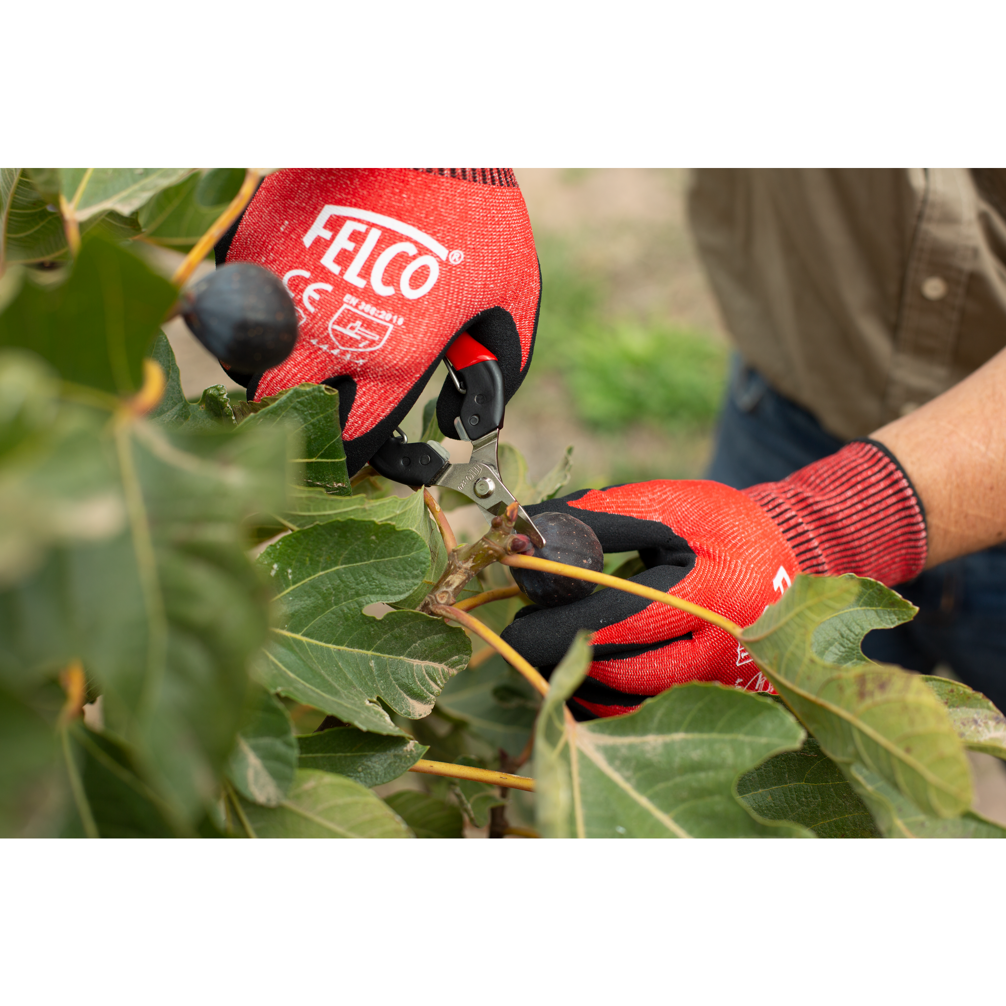 Square_packshots_PNG-Snips_FELCO 320.png