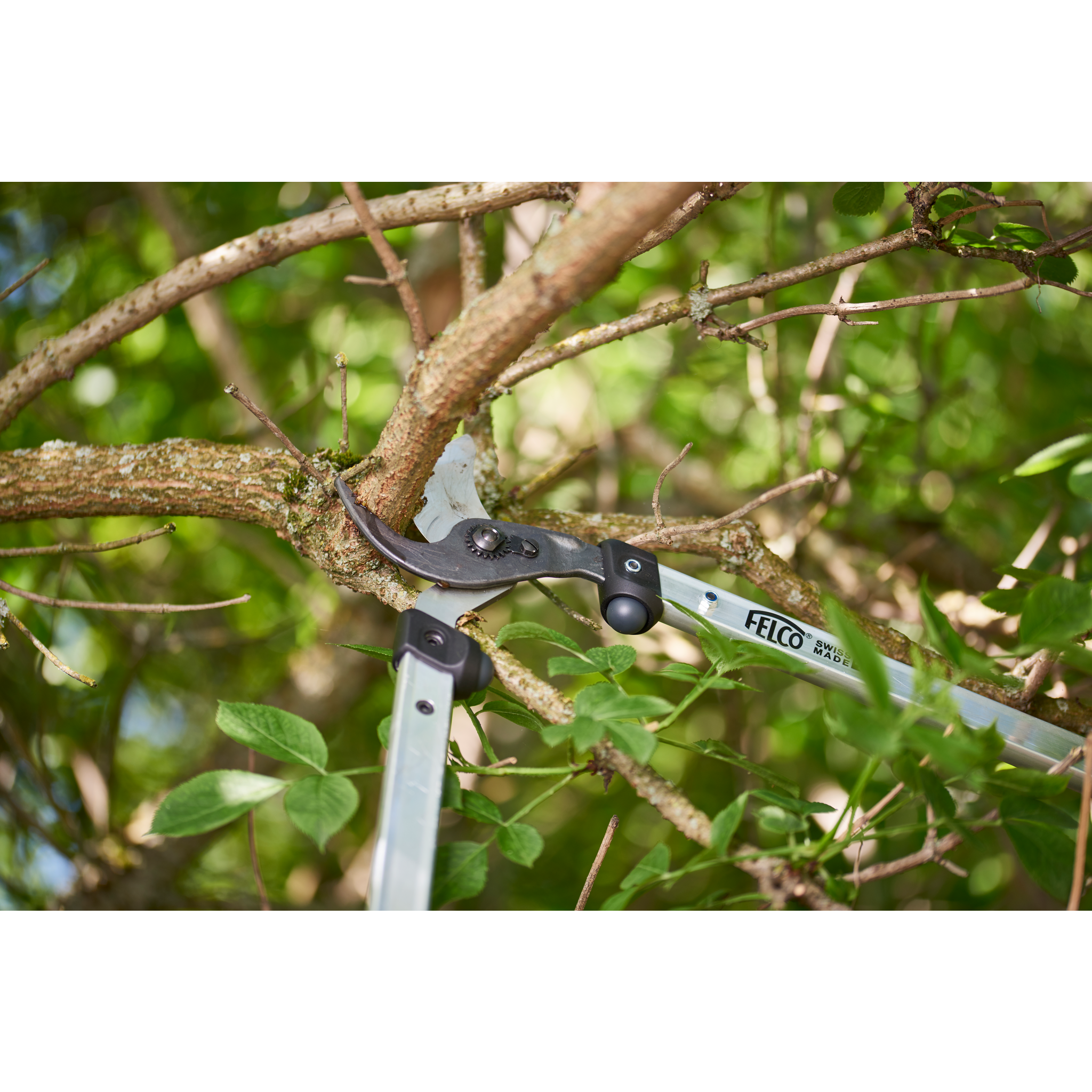 Square_packshots_PNG-FELCO 211-60 - in use - landscapes_003.png