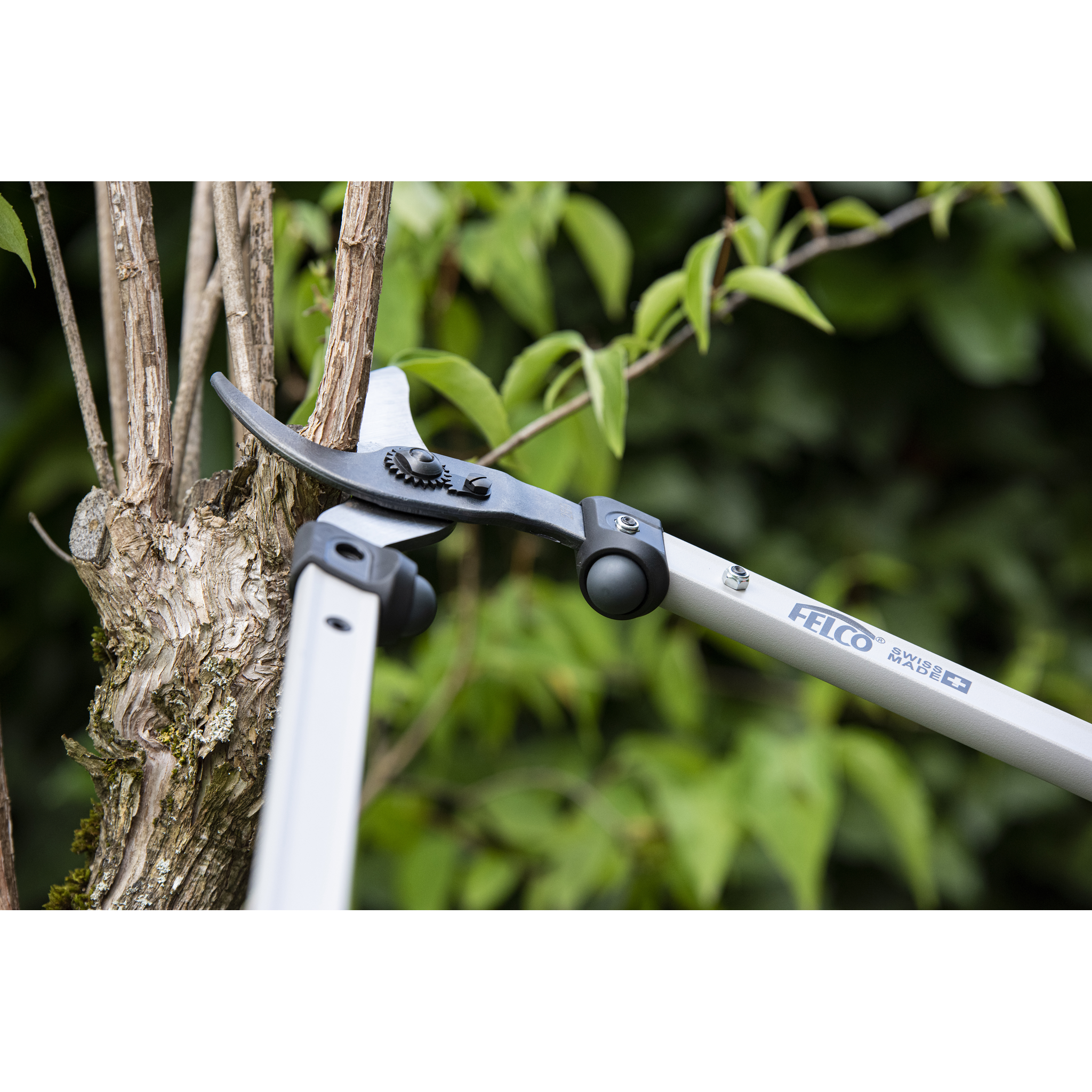 Square_packshots_PNG-FELCO 201-60-1.png