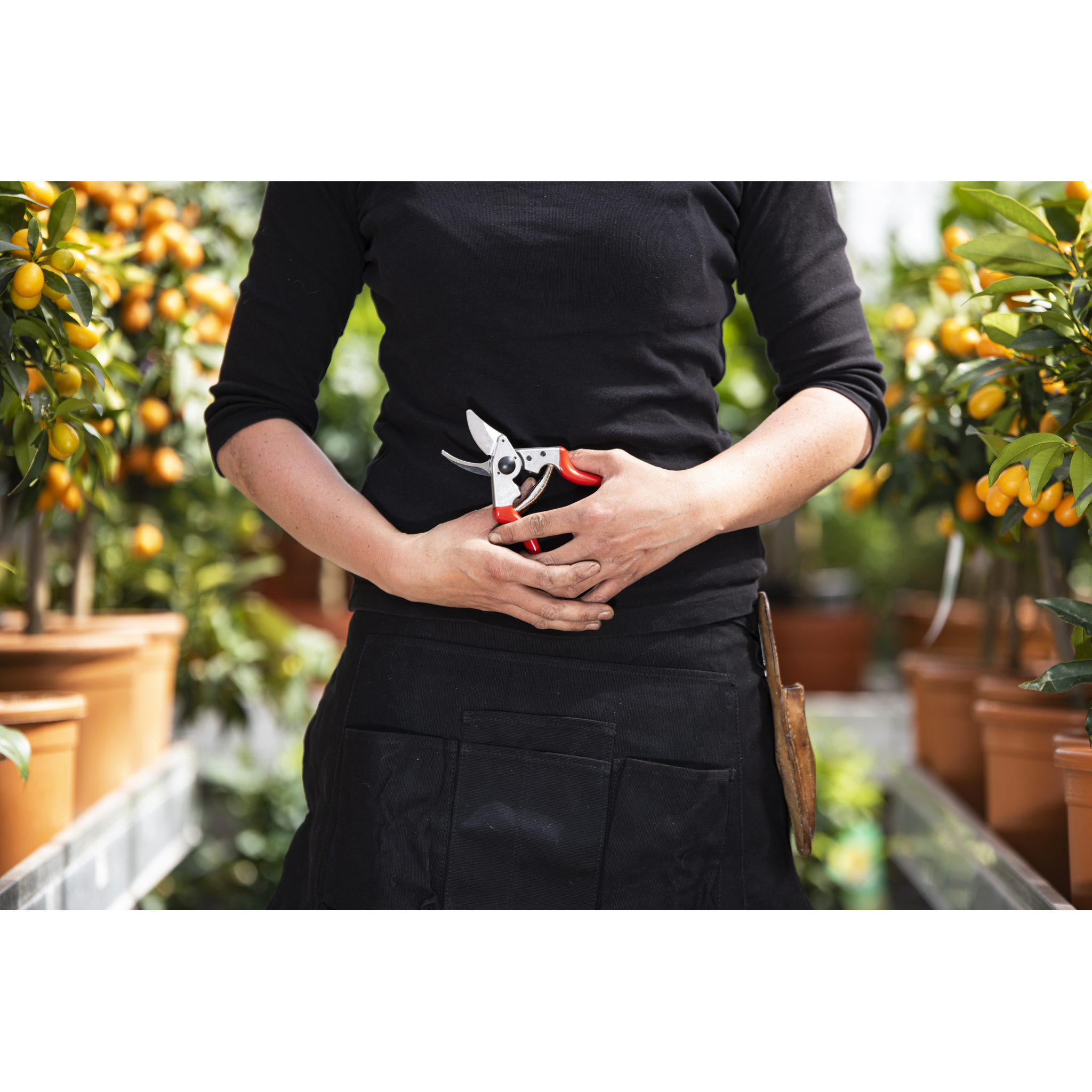 Square_packshots_PNG-FELCO 16_Hands .png