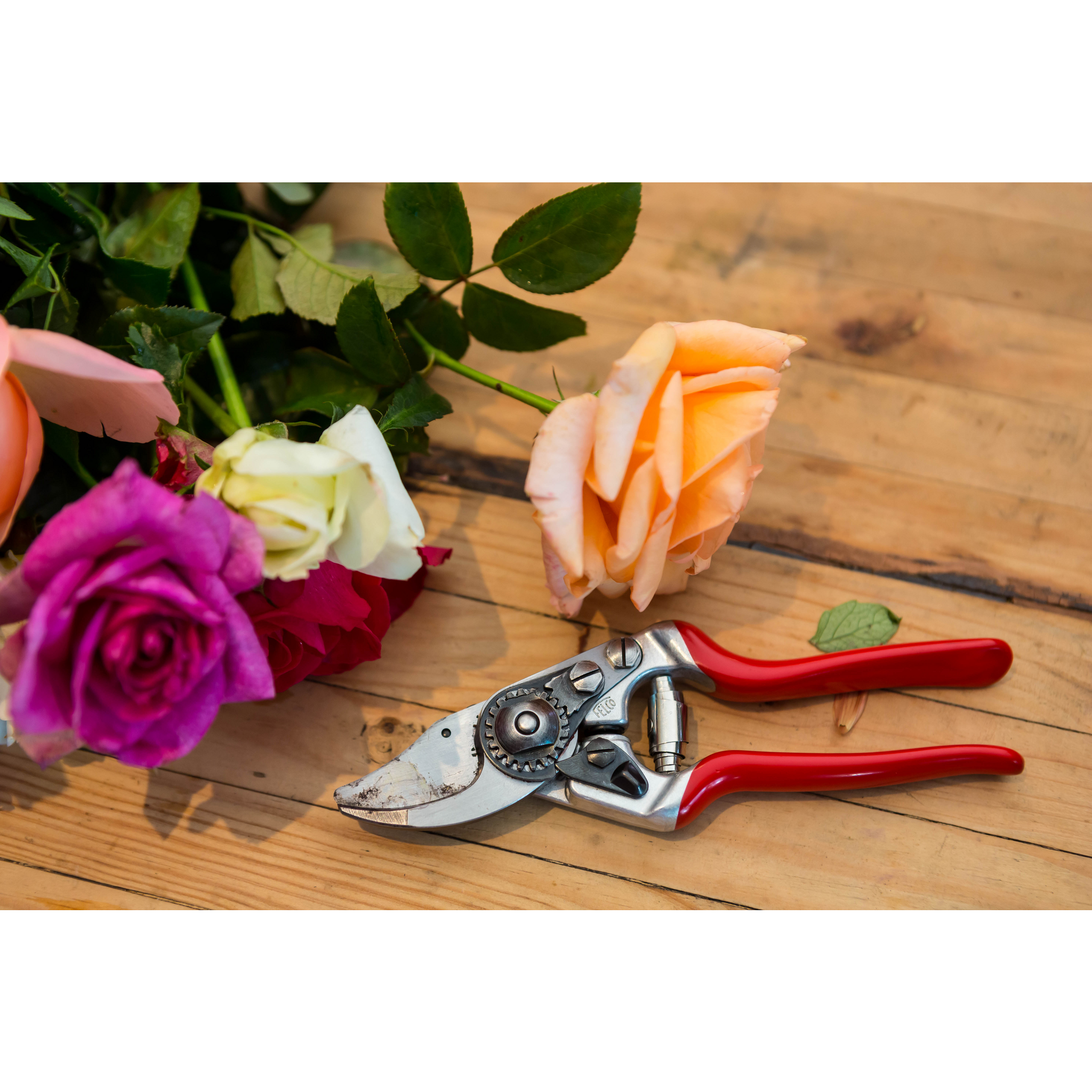 Square_packshots_PNG-FELCO 14-4.png