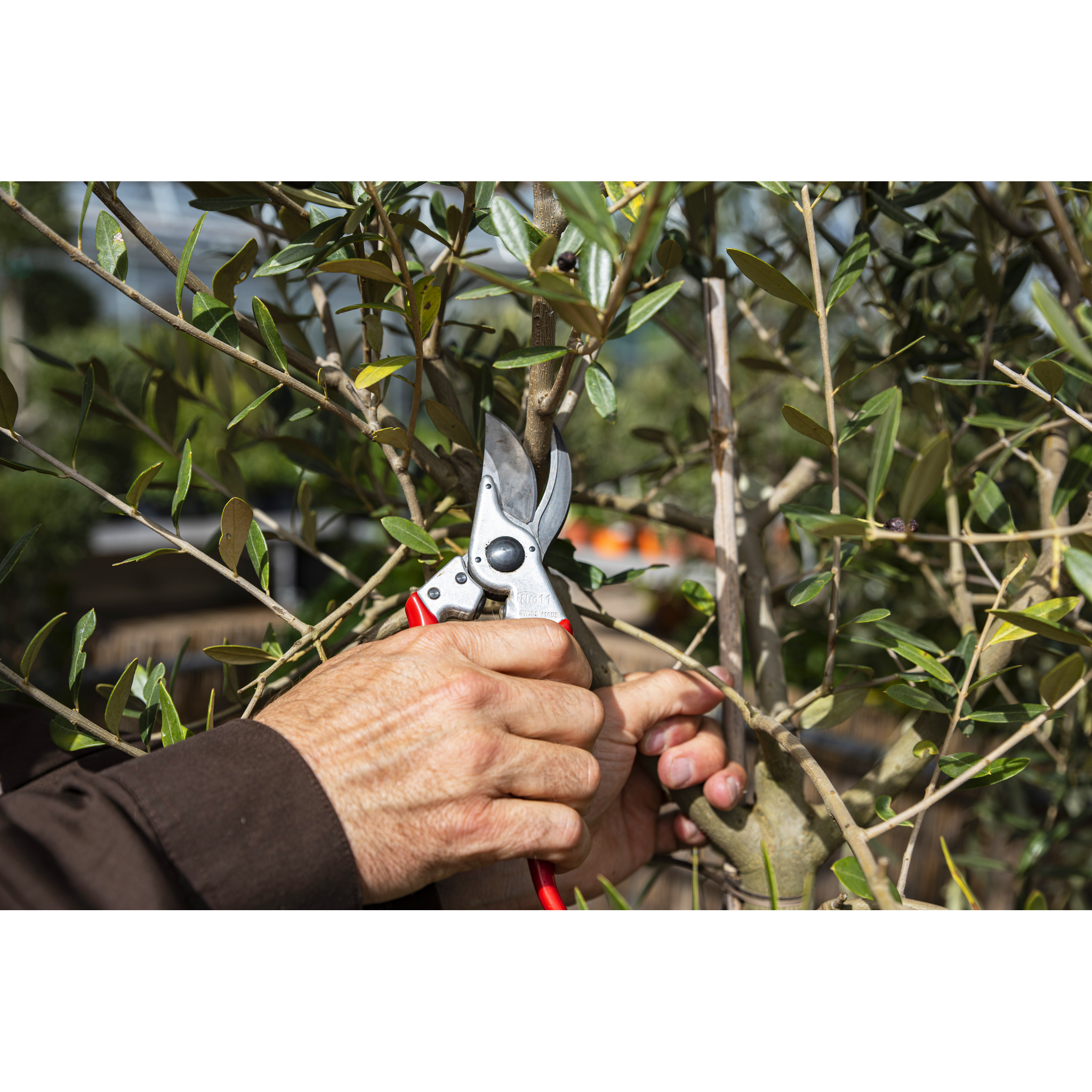 Square_packshots_PNG-FELCO 11.png