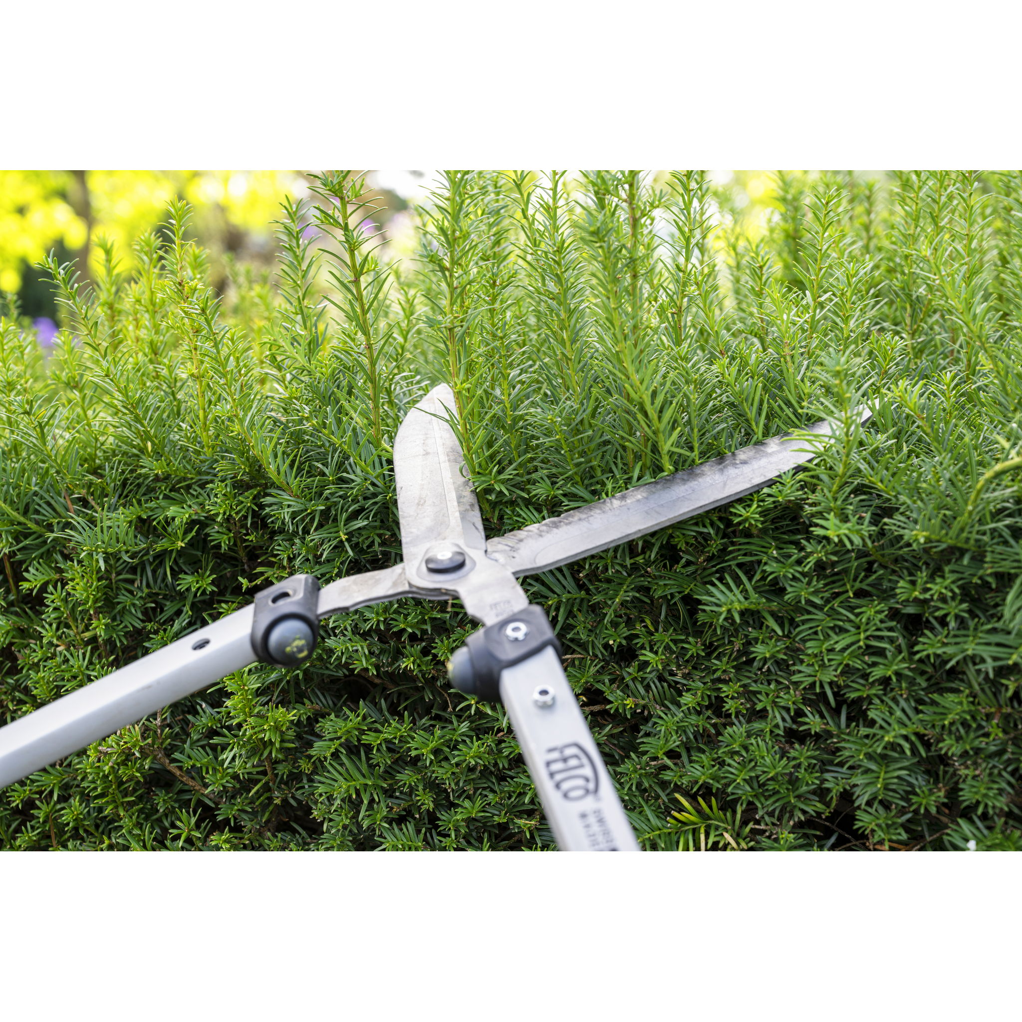 Square_packshots_PNG-FELCO 250-63_471.png