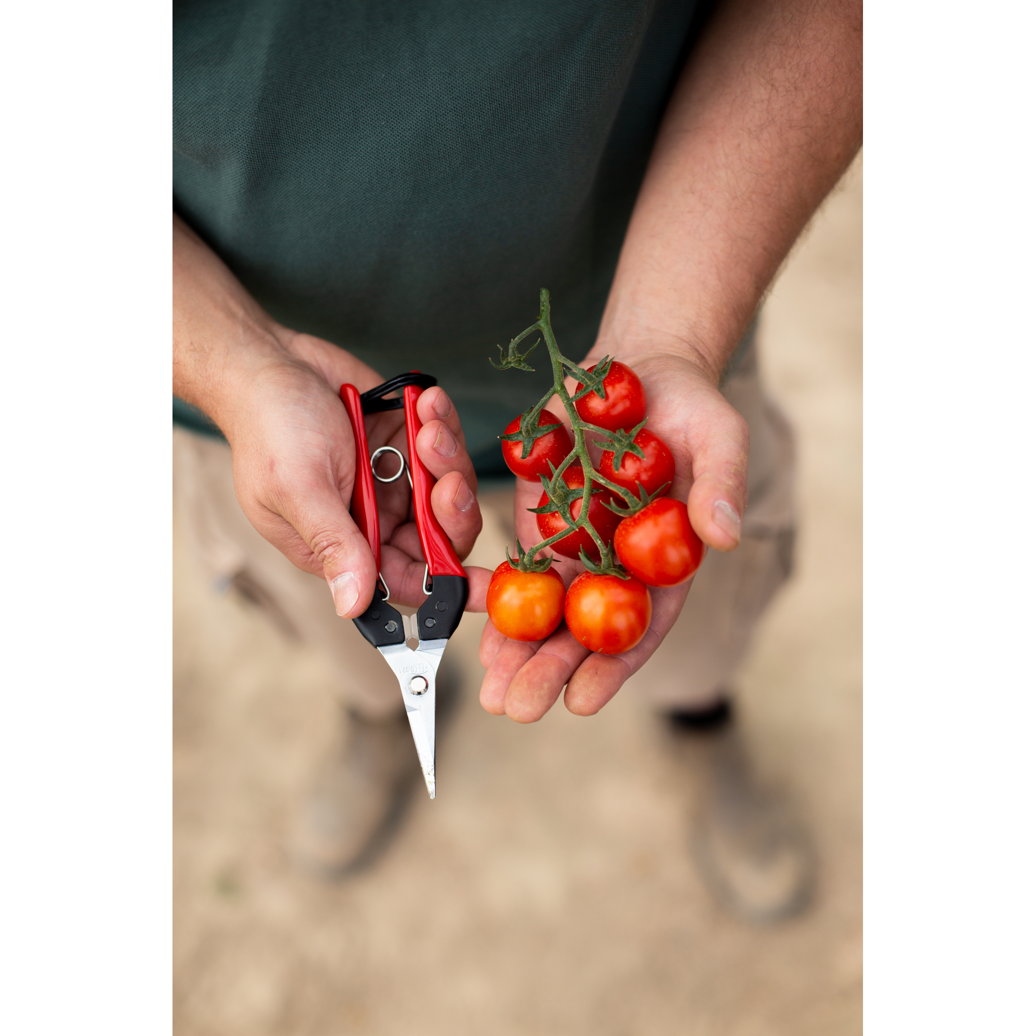 Square_packshots_PNG-FELCO 321_3232.png