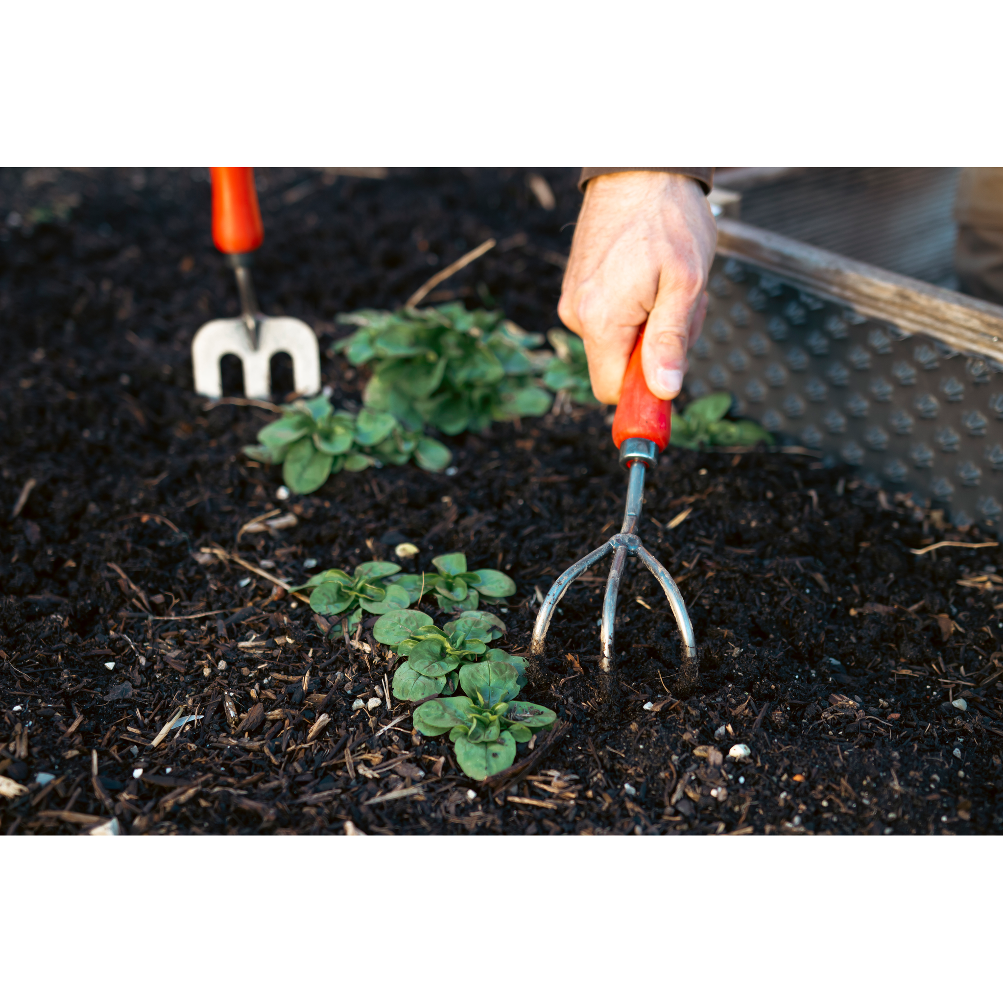 Square_packshots_PNG-FELCO 411_431_gardening_2023.png