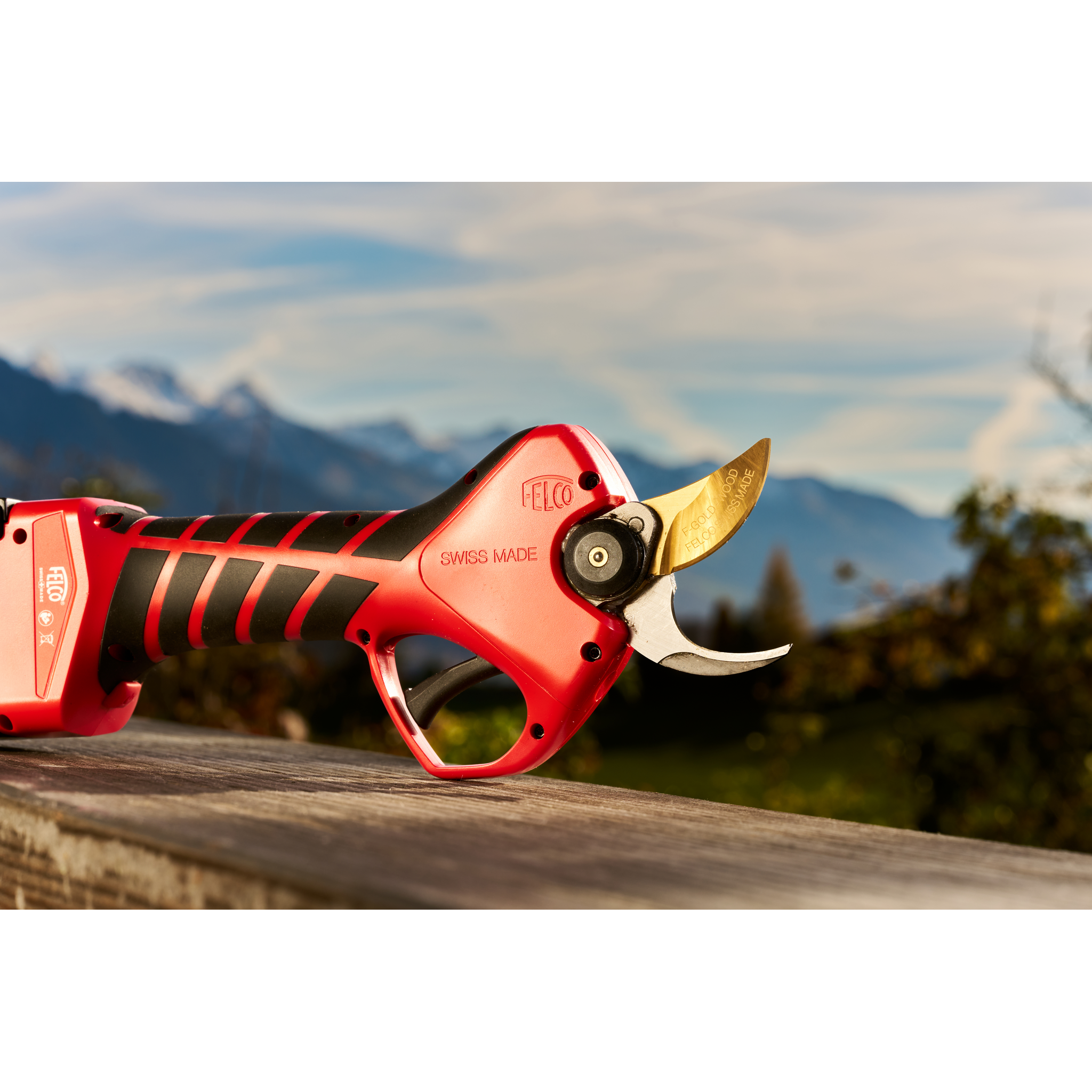 Roter elektrischer Baumschneider von Felco mit goldener Klinge, auf einem Holztisch im Freien mit Berglandschaft im Hintergrund.