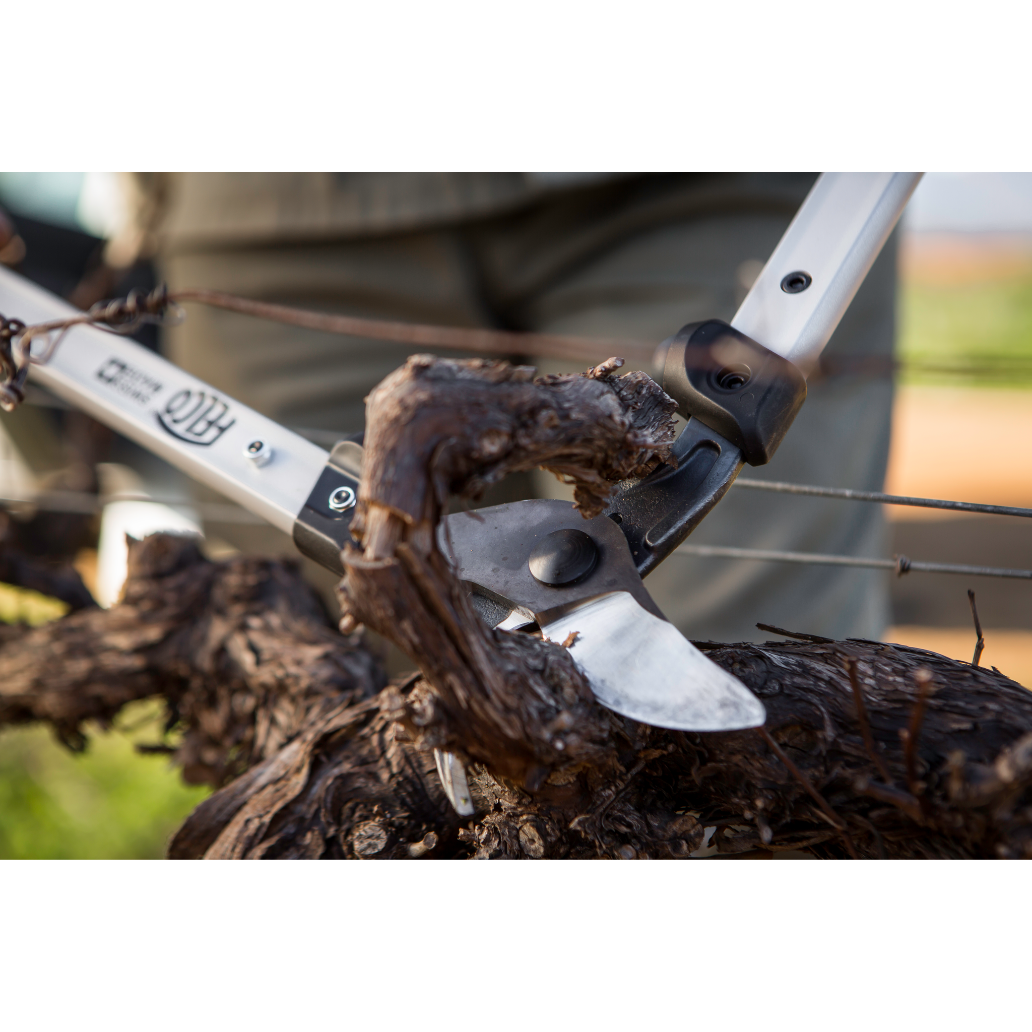 Square_packshots_PNG-FELCO 201-60-2.png