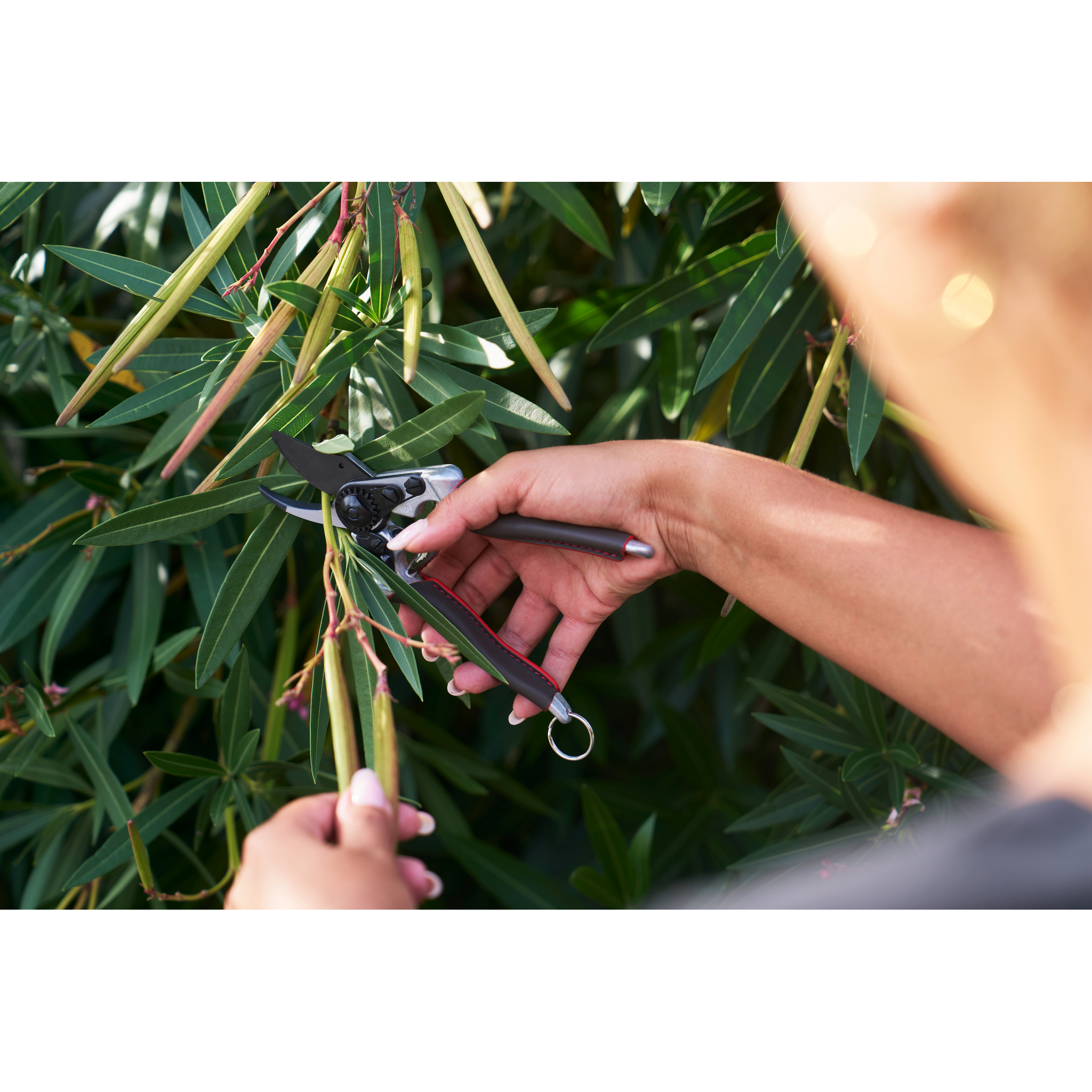 SHOPIFY spareparts-FELCO 6 ELITE in use 04.png